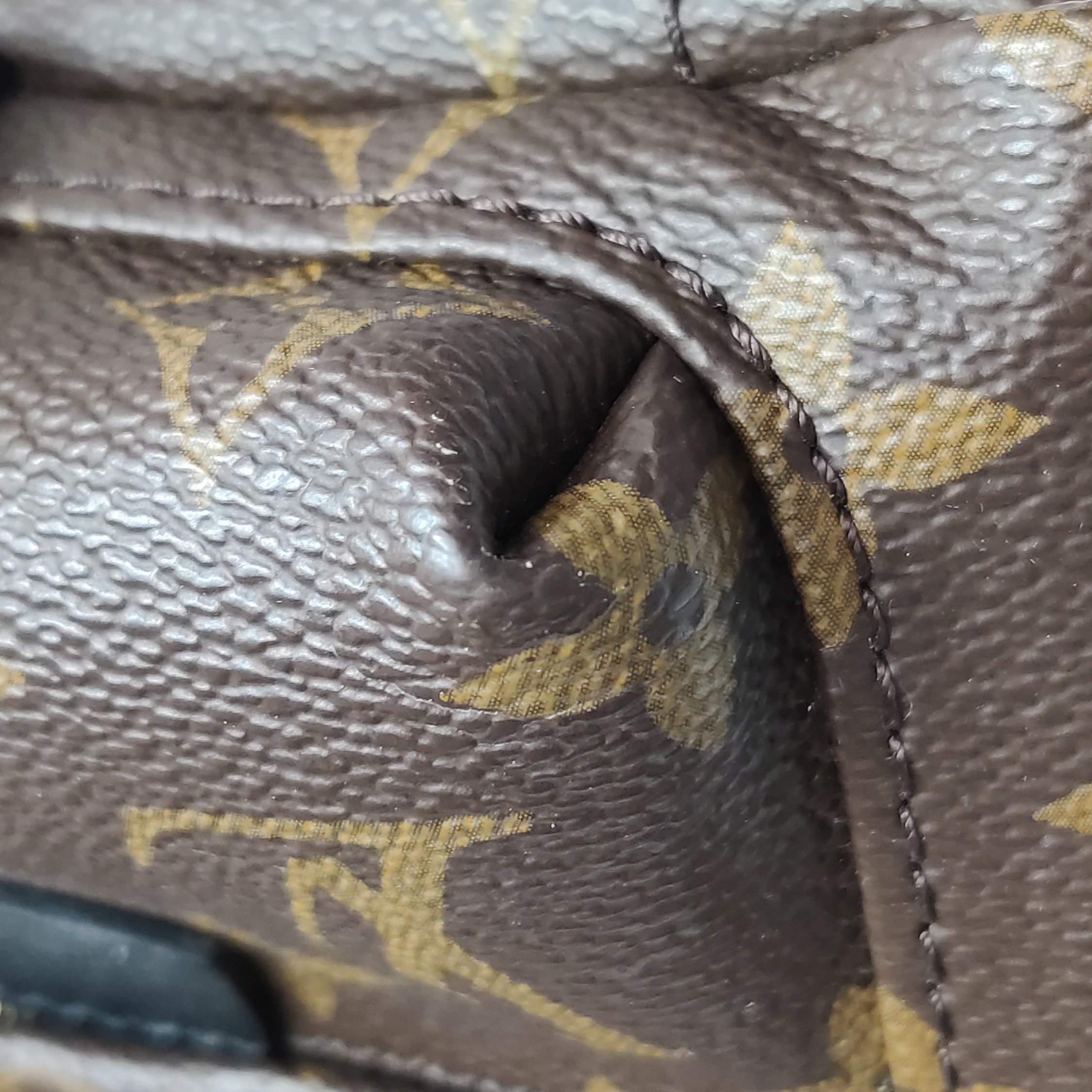 Louis Vuitton(LV) Palm Springs Backpack Monogram Canvas Mini — photo 15 of 18