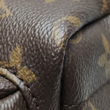 Louis Vuitton(LV) Palm Springs Backpack Monogram Canvas Mini — thumbnail 14