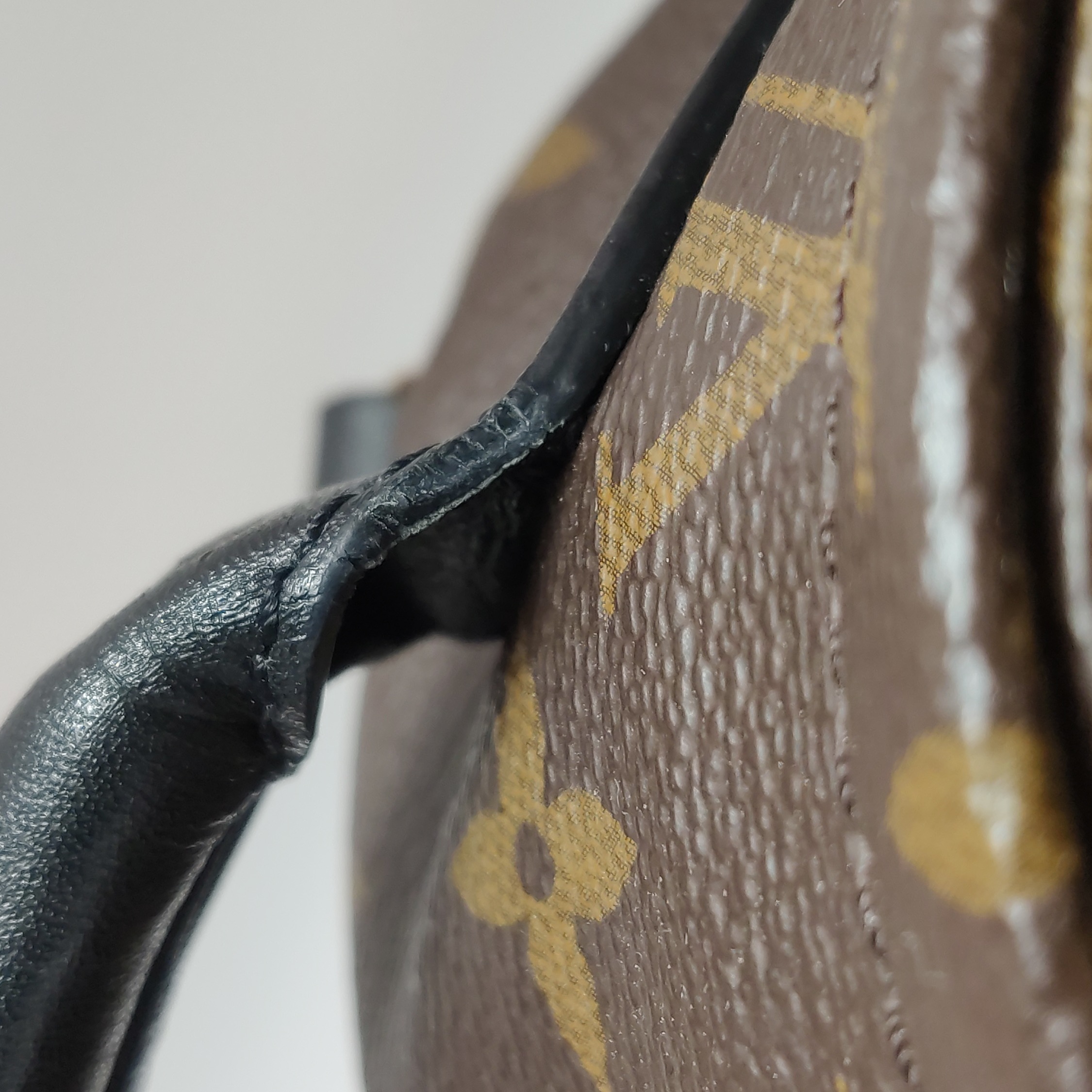 Louis Vuitton(LV) Palm Springs Backpack Monogram Canvas Mini — photo 10 of 18