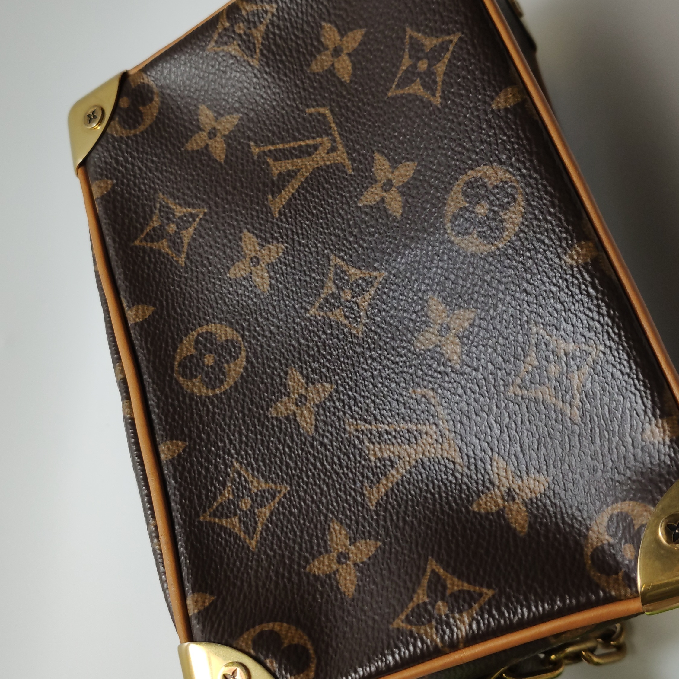 Louis Vuitton(LV) Soft Trunk Bag Monogram Canvas Mini