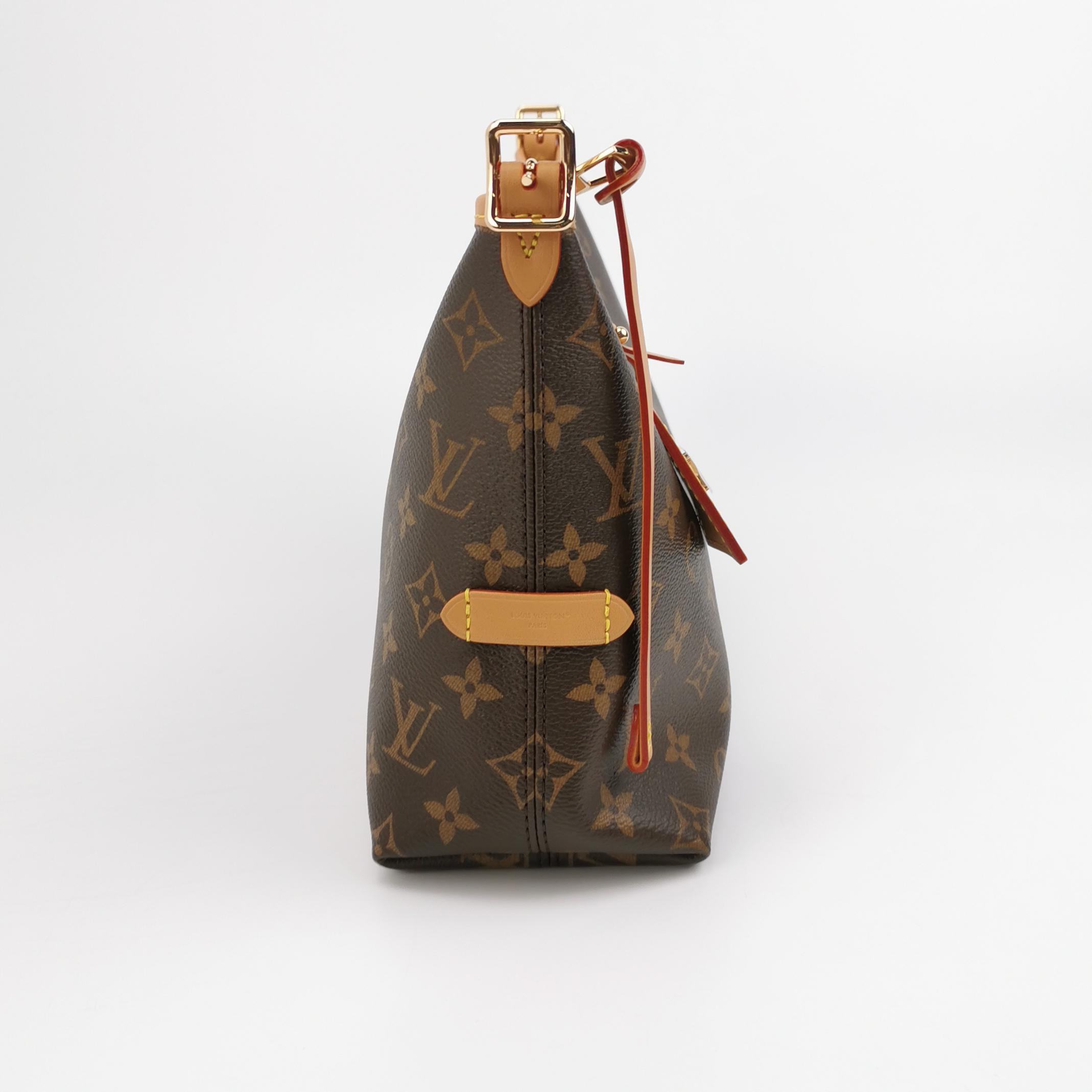 Louis Vuitton(LV) CarryAll East West Hobo Monogram Canvas East West  — photo 3 of 10