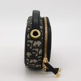 Christian Dior CD Signature Vanity Case Oblique Canvas Small — thumbnail 5