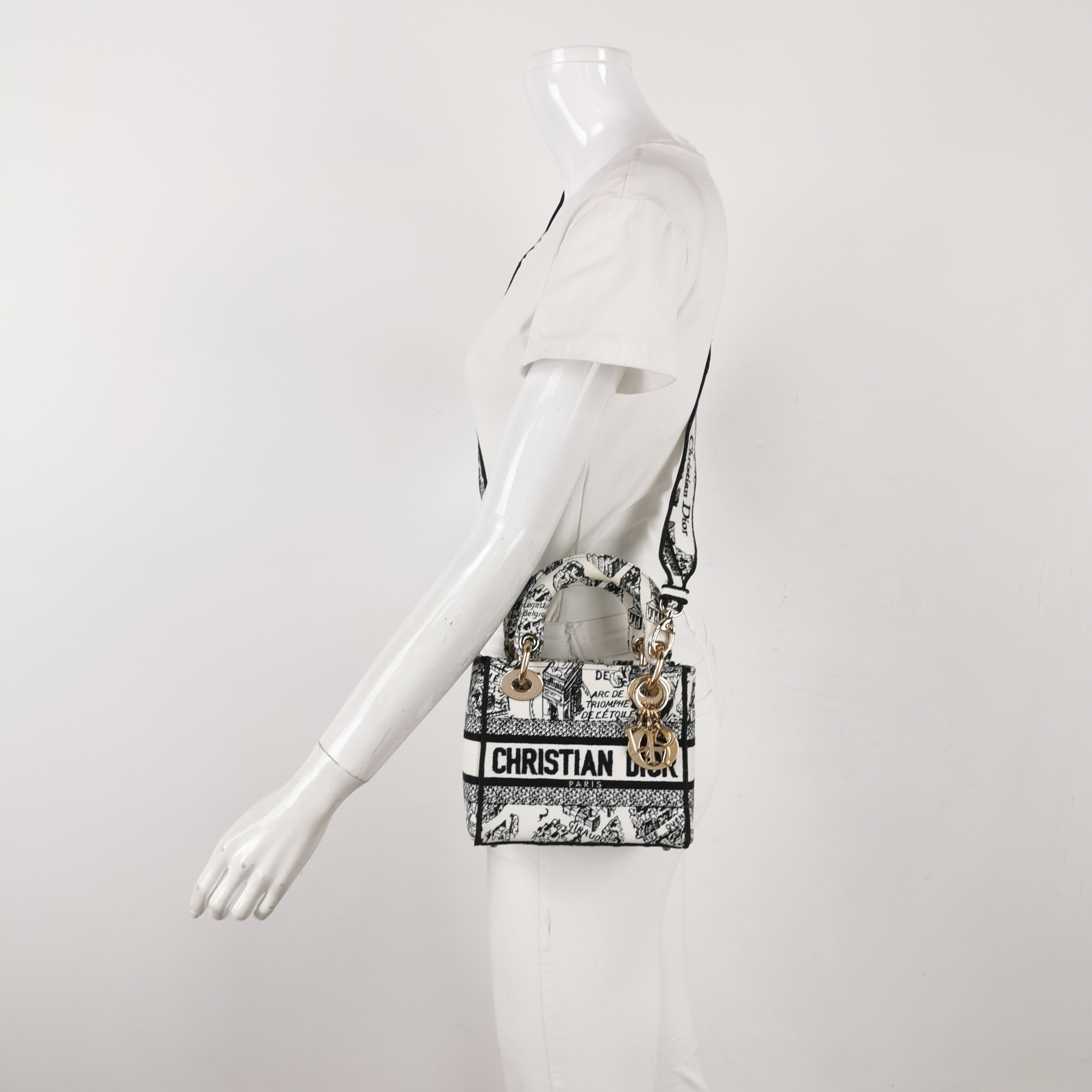 Christian Dior Lady D-Lite Bag Embroidered Canvas Mini — alternate view