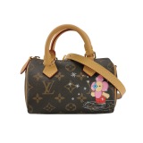 Louis Vuitton(LV) Speedy Bandouliere NM Bag Limited Edition Vivienne Xmas Monogram Canvas Nano — thumbnail 1