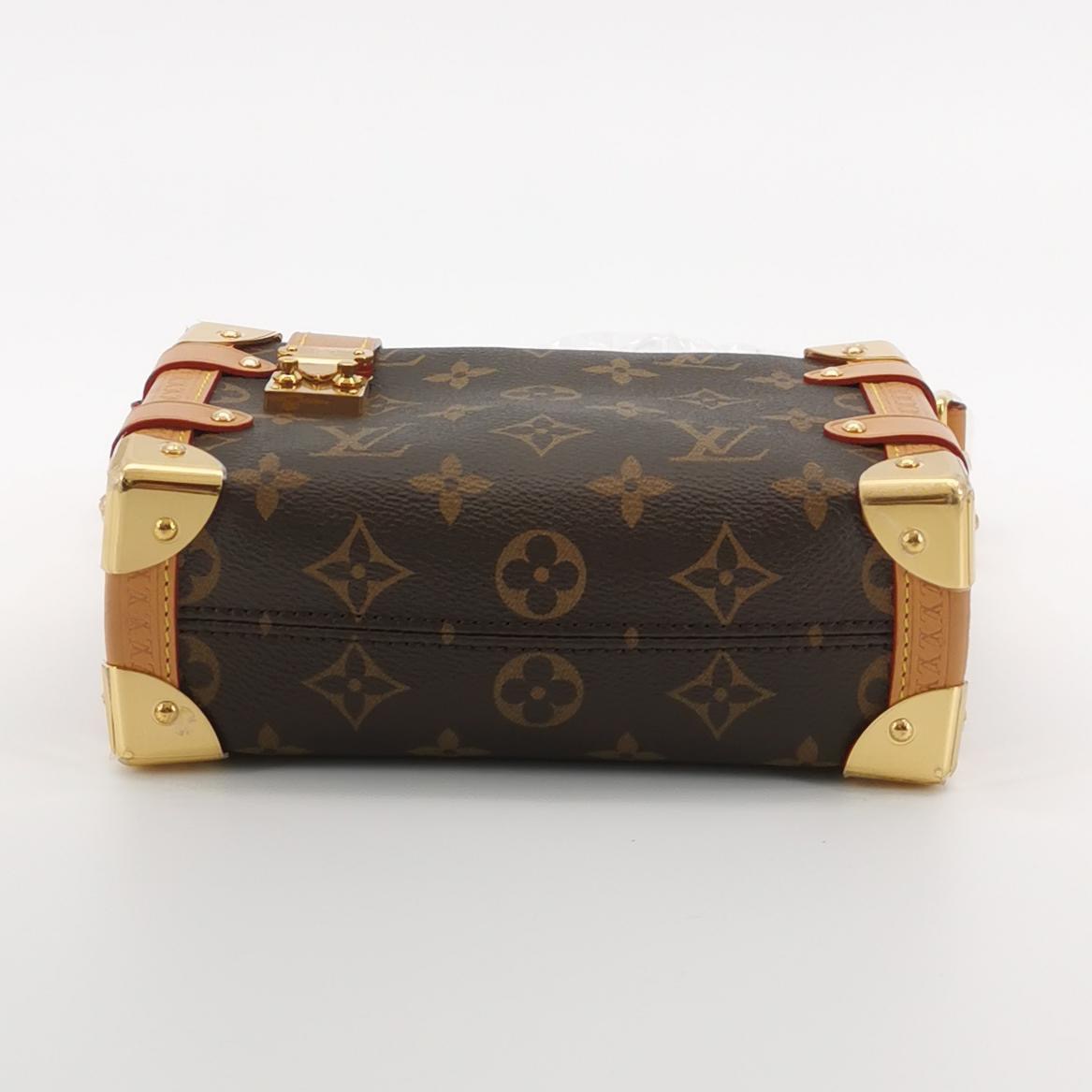 Louis Vuitton(LV) Side Trunk Handbag Monogram Canvas PM — photo 6 of 24