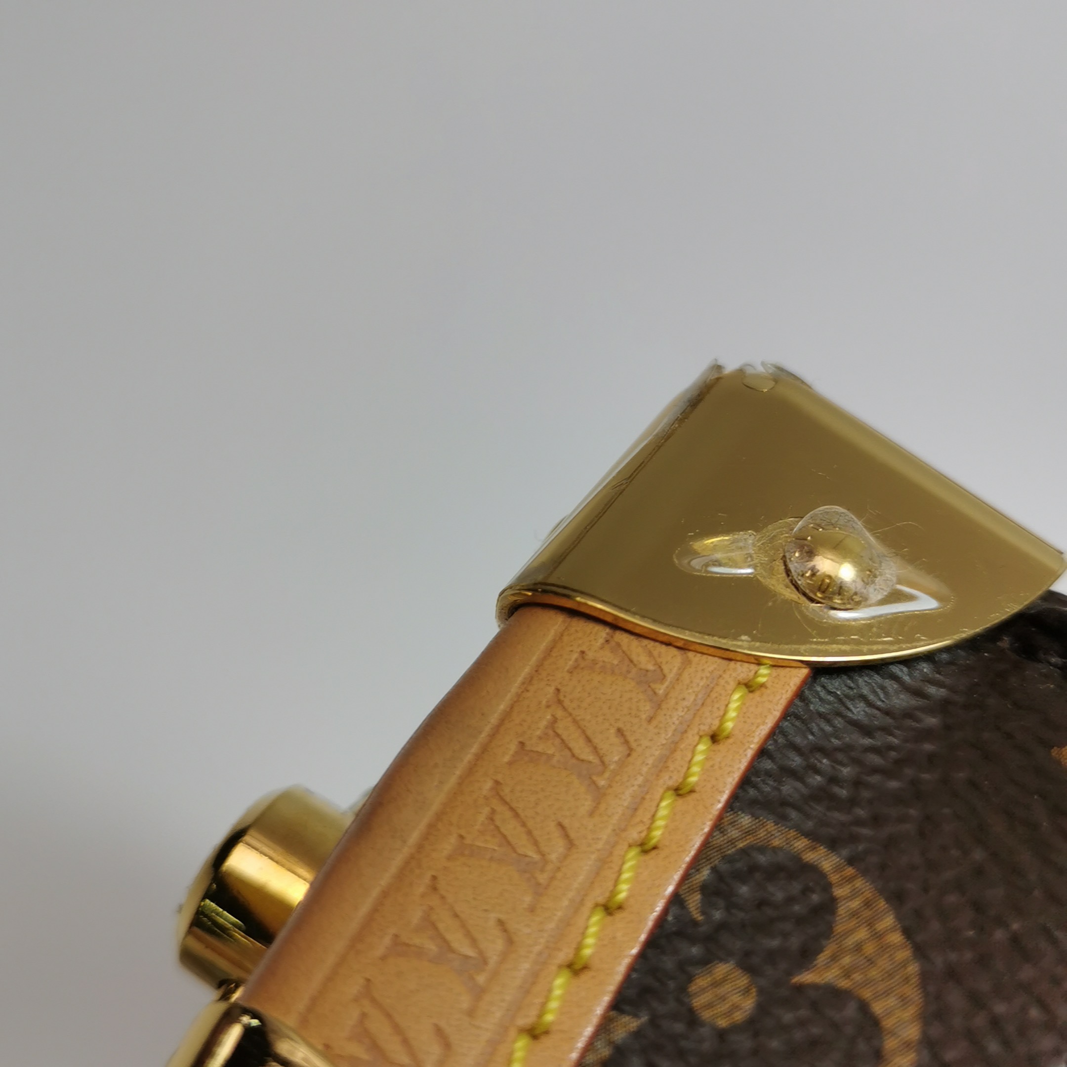 Louis Vuitton(LV) Side Trunk Handbag Monogram Canvas PM — photo 14 of 24