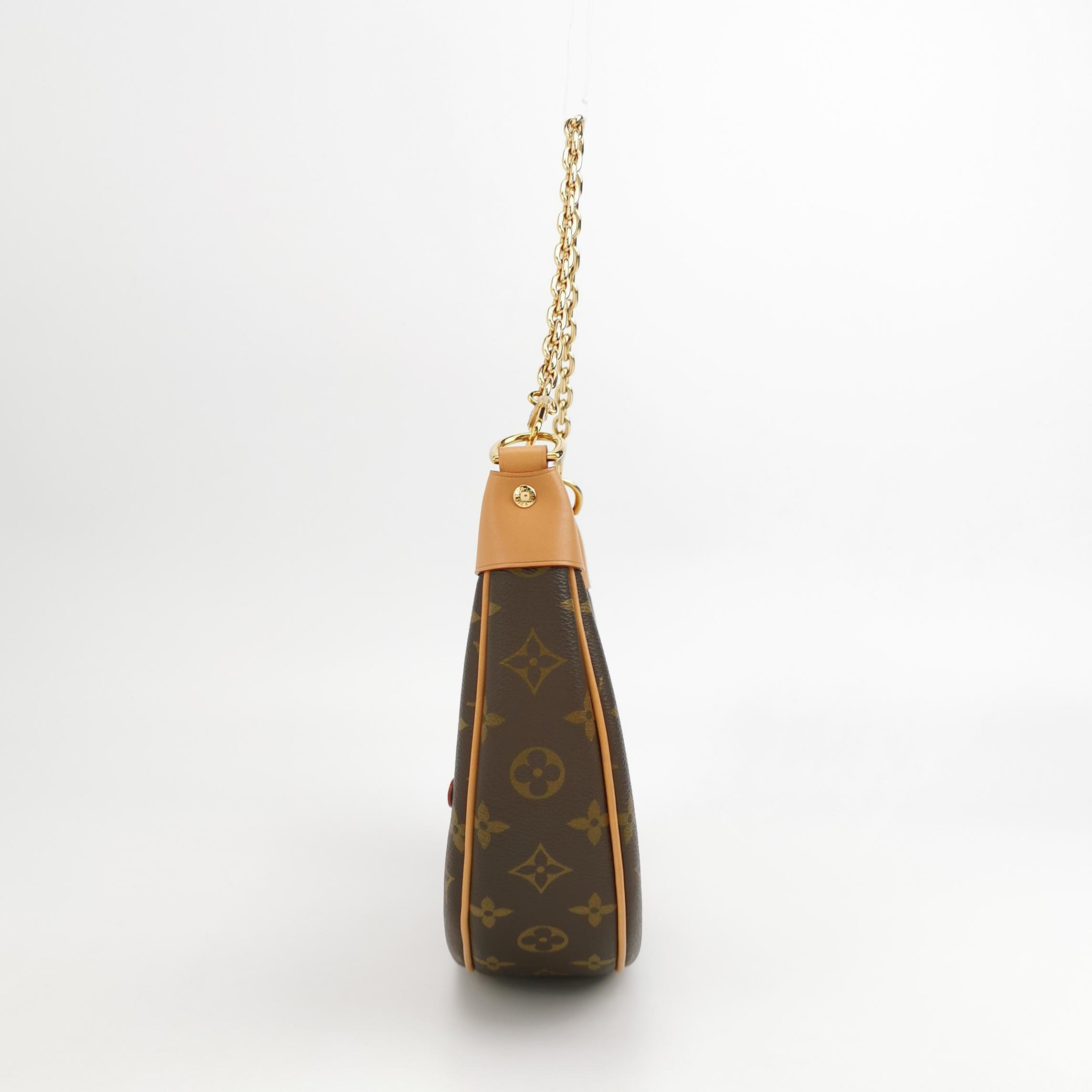 Louis Vuitton(LV) Loop Handbag Monogram Canvas — photo 3 of 13