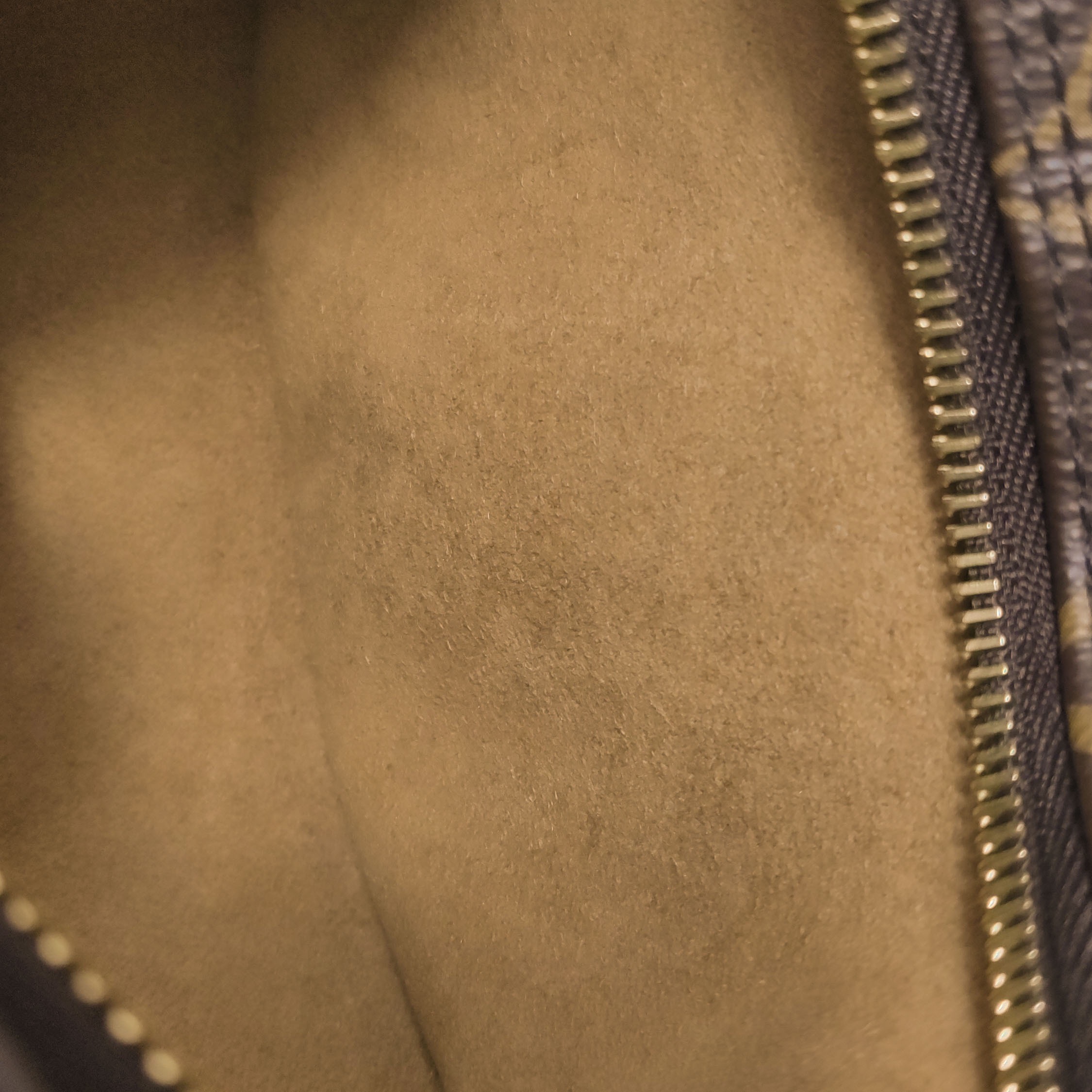 Louis Vuitton(LV) Loop Handbag Monogram Canvas — photo 9 of 13