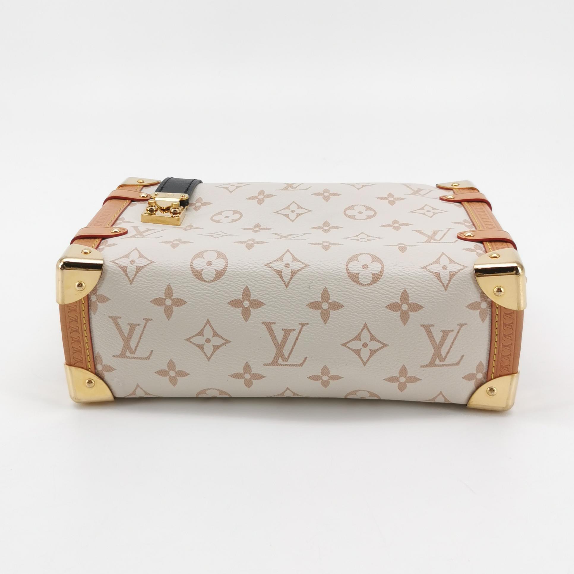 Louis Vuitton(LV) Side Trunk Handbag Monogram Dune Canvas MM — photo 6 of 25