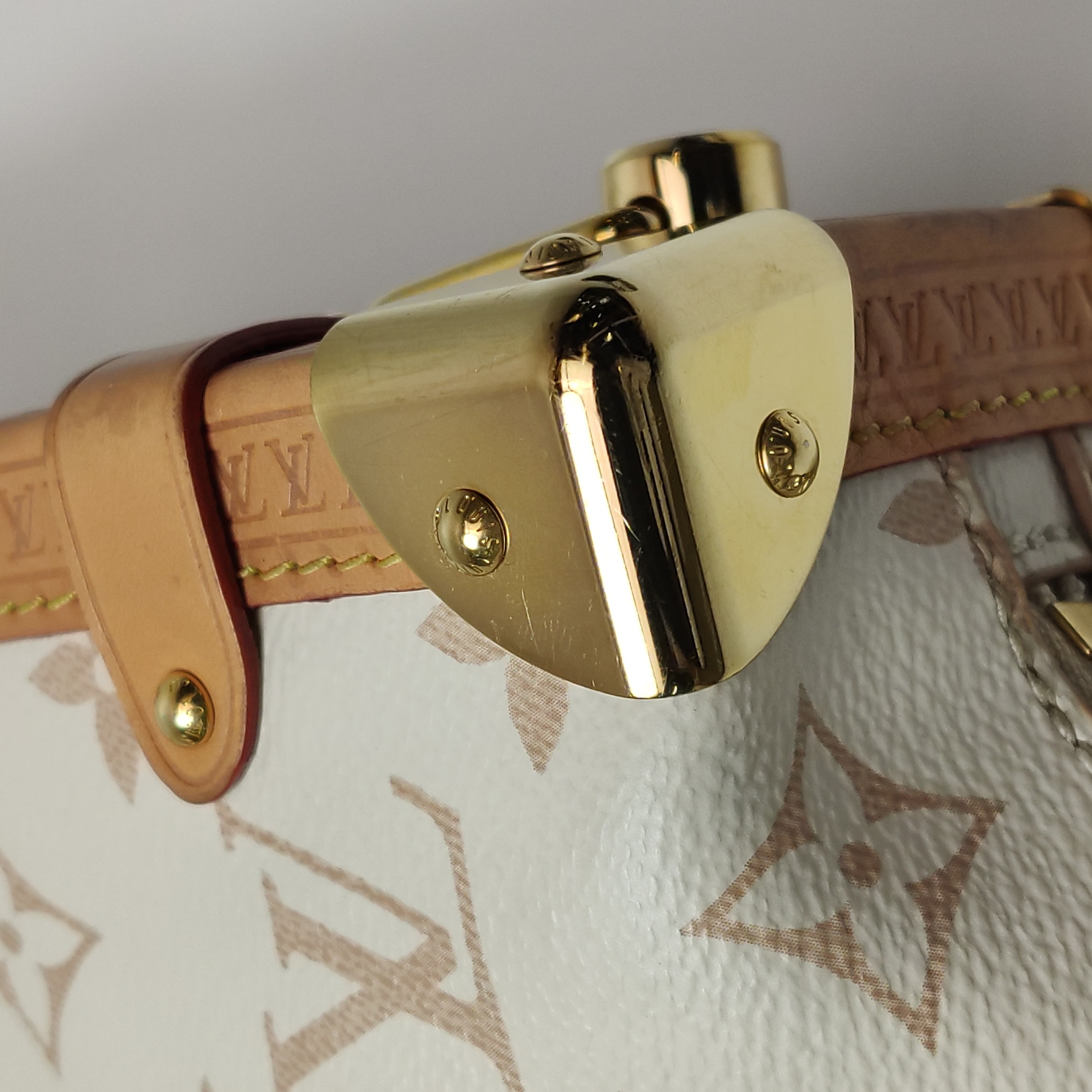 Louis Vuitton(LV) Side Trunk Handbag Monogram Dune Canvas MM — photo 15 of 25