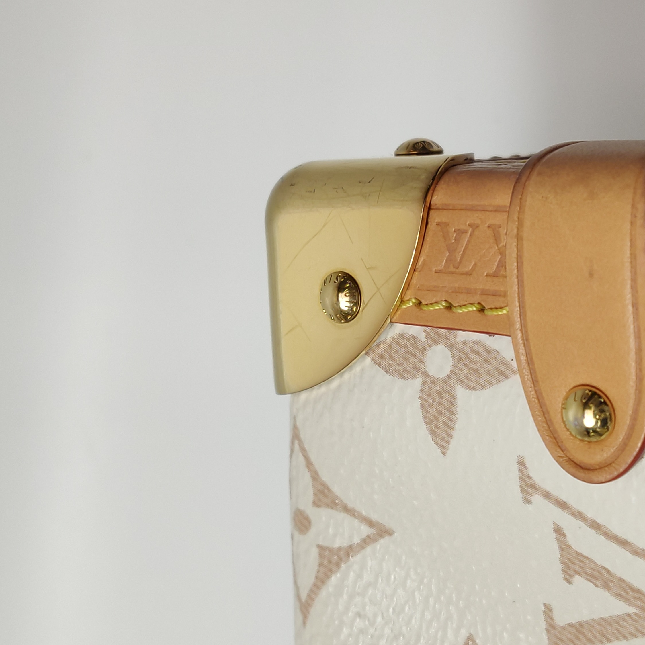 Louis Vuitton(LV) Side Trunk Handbag Monogram Dune Canvas MM — photo 13 of 25