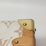 Louis Vuitton(LV) Side Trunk Handbag Monogram Dune Canvas MM — thumbnail 13