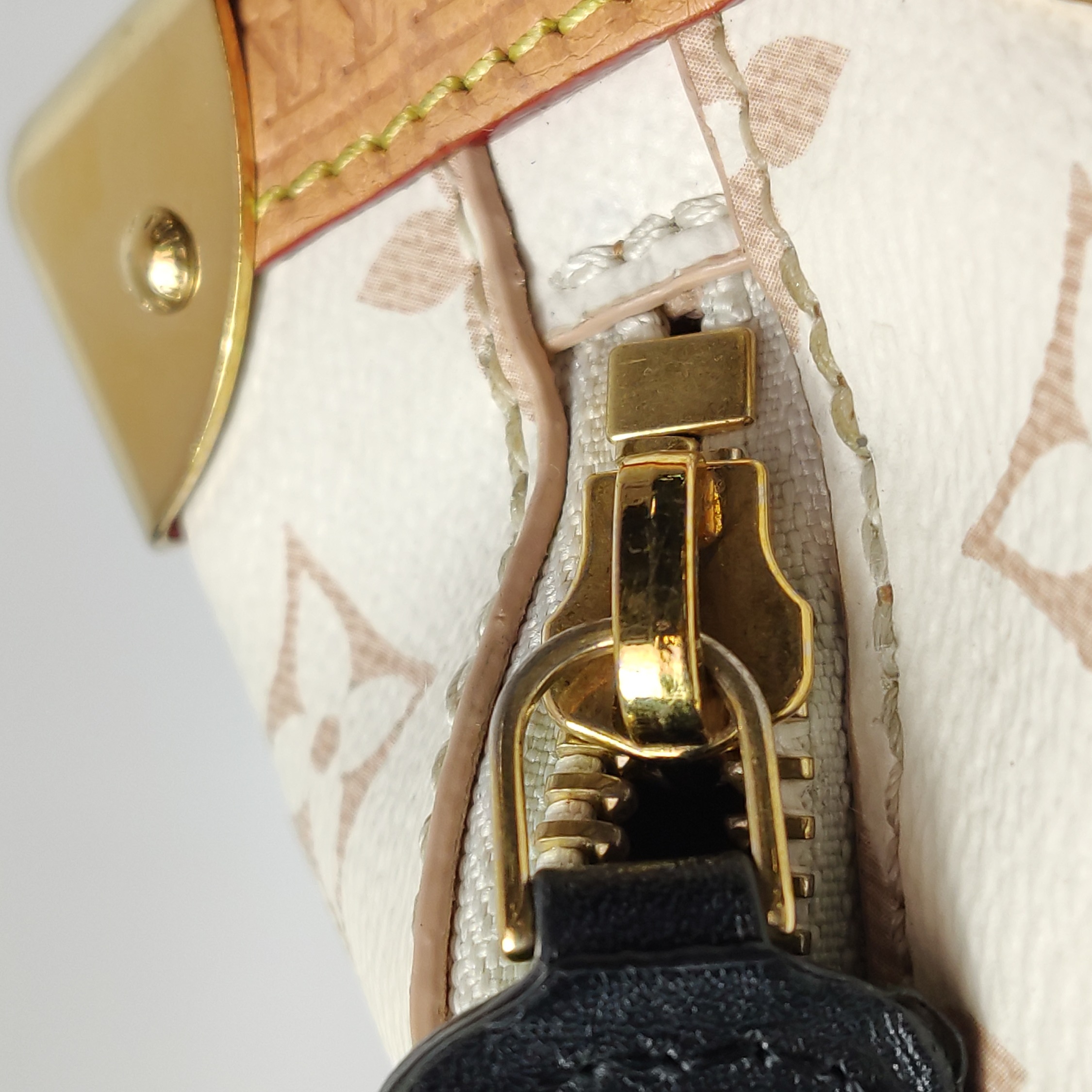Louis Vuitton(LV) Side Trunk Handbag Monogram Dune Canvas MM — photo 17 of 25