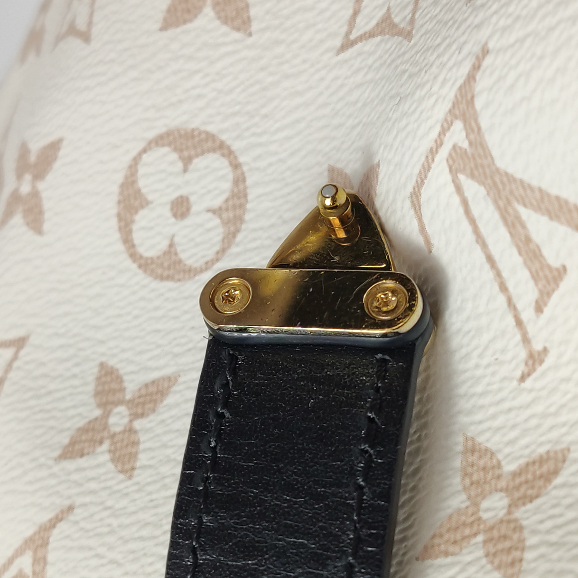 Louis Vuitton(LV) Side Trunk Handbag Monogram Dune Canvas MM — photo 12 of 25