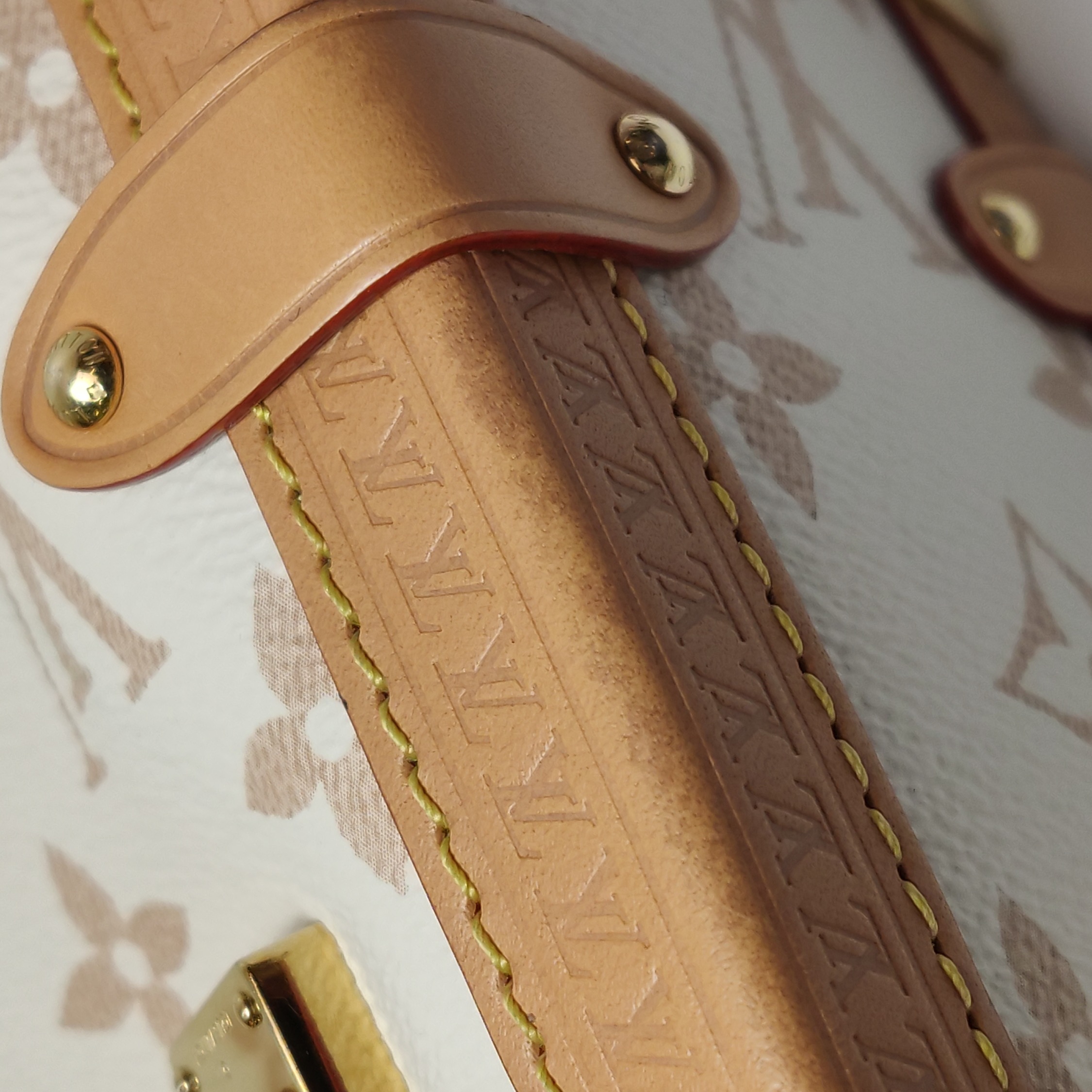 Louis Vuitton(LV) Side Trunk Handbag Monogram Dune Canvas MM — photo 16 of 25