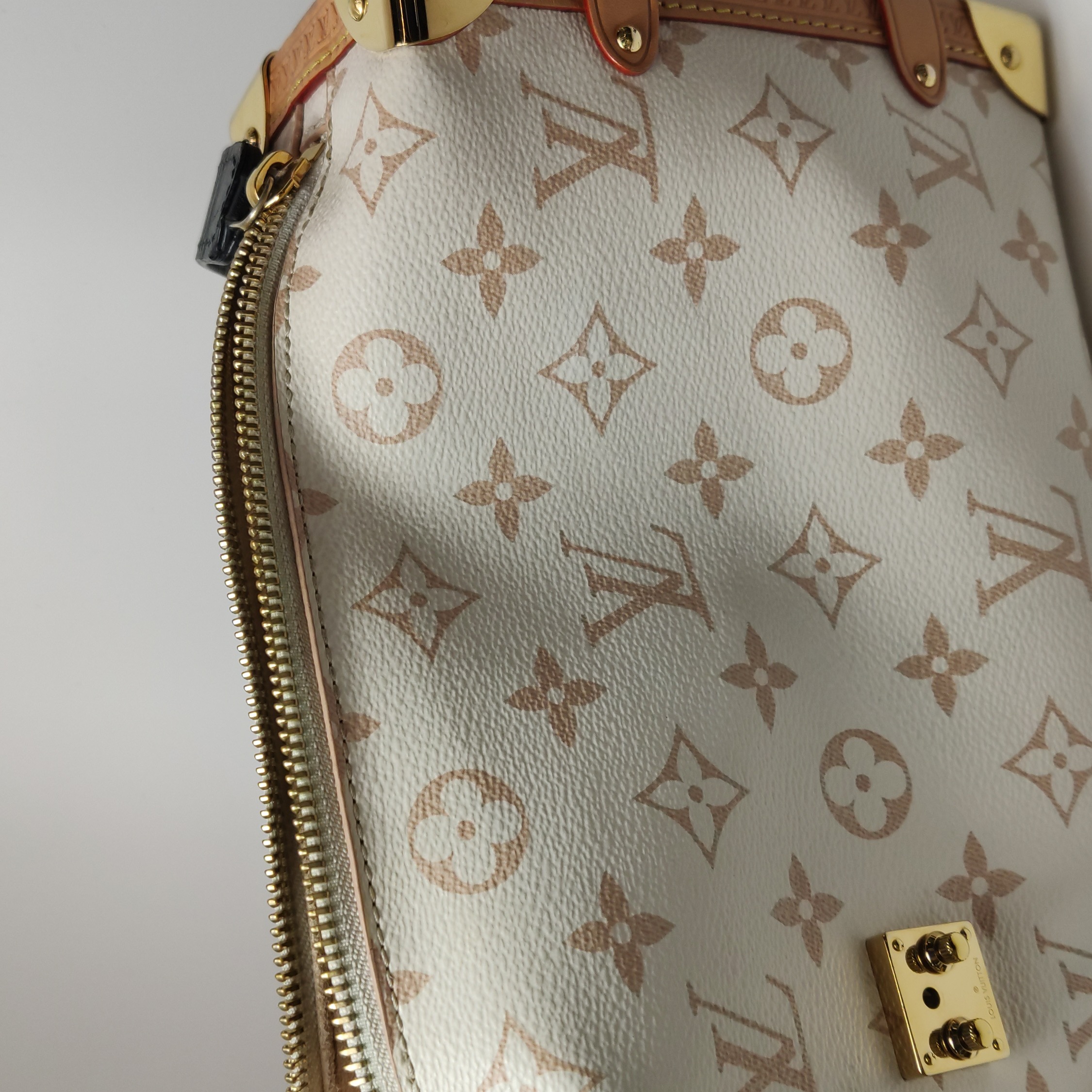 Louis Vuitton(LV) Side Trunk Handbag Monogram Dune Canvas MM — photo 25 of 25