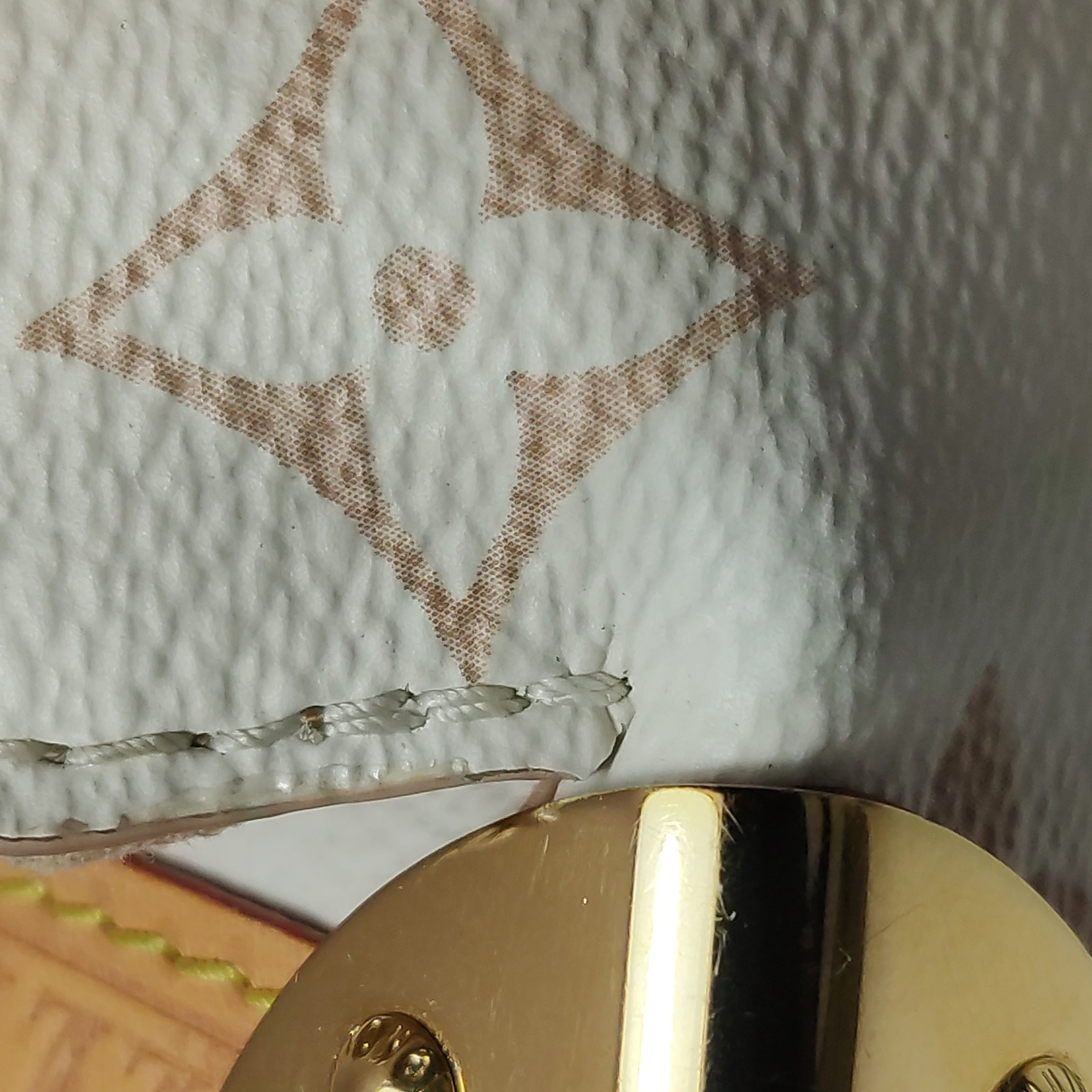 Louis Vuitton(LV) Side Trunk Handbag Monogram Dune Canvas MM — photo 14 of 25