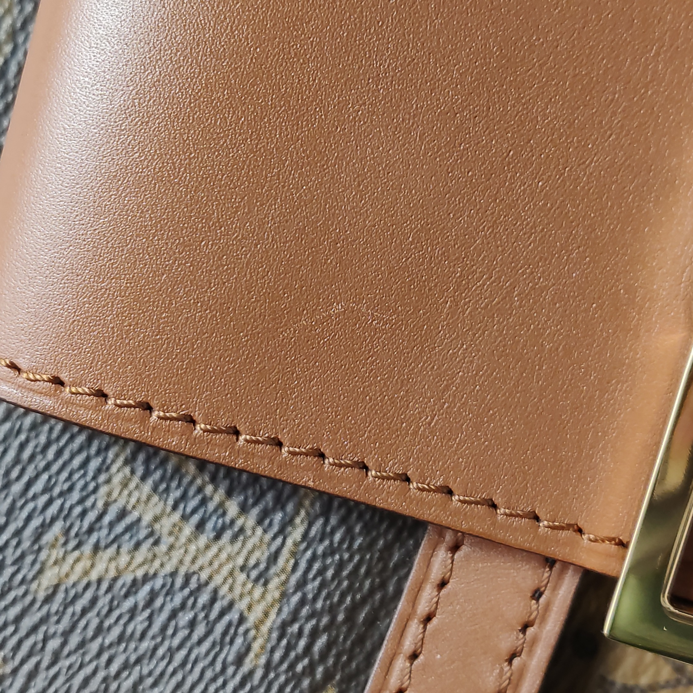 Louis Vuitton(LV) Dauphine Shoulder Bag Reverse Monogram Canvas MM — photo 10 of 15