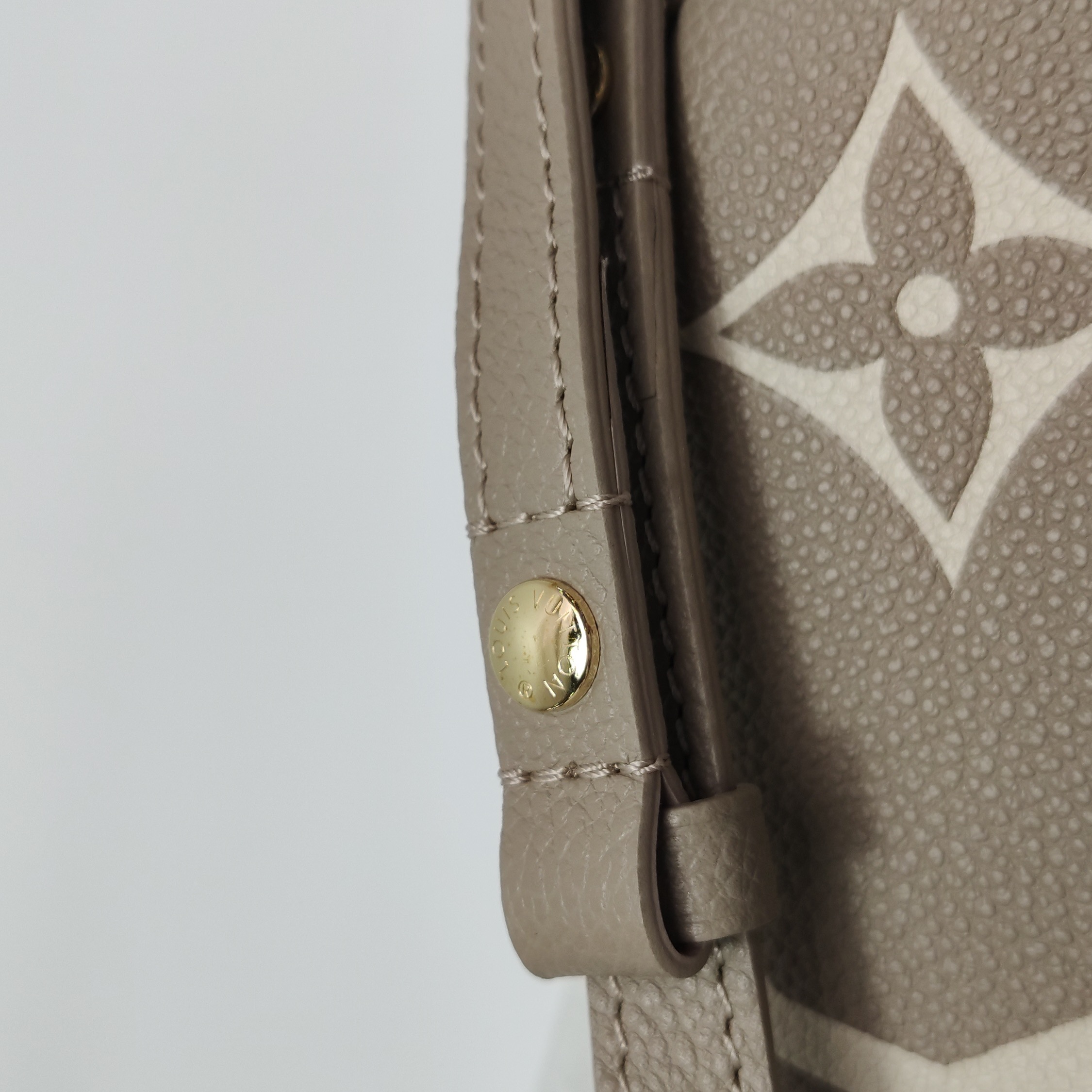 Louis Vuitton(LV) Ivy Wallet on Chain Bicolor Monogram Empreinte Giant — photo 11 of 12