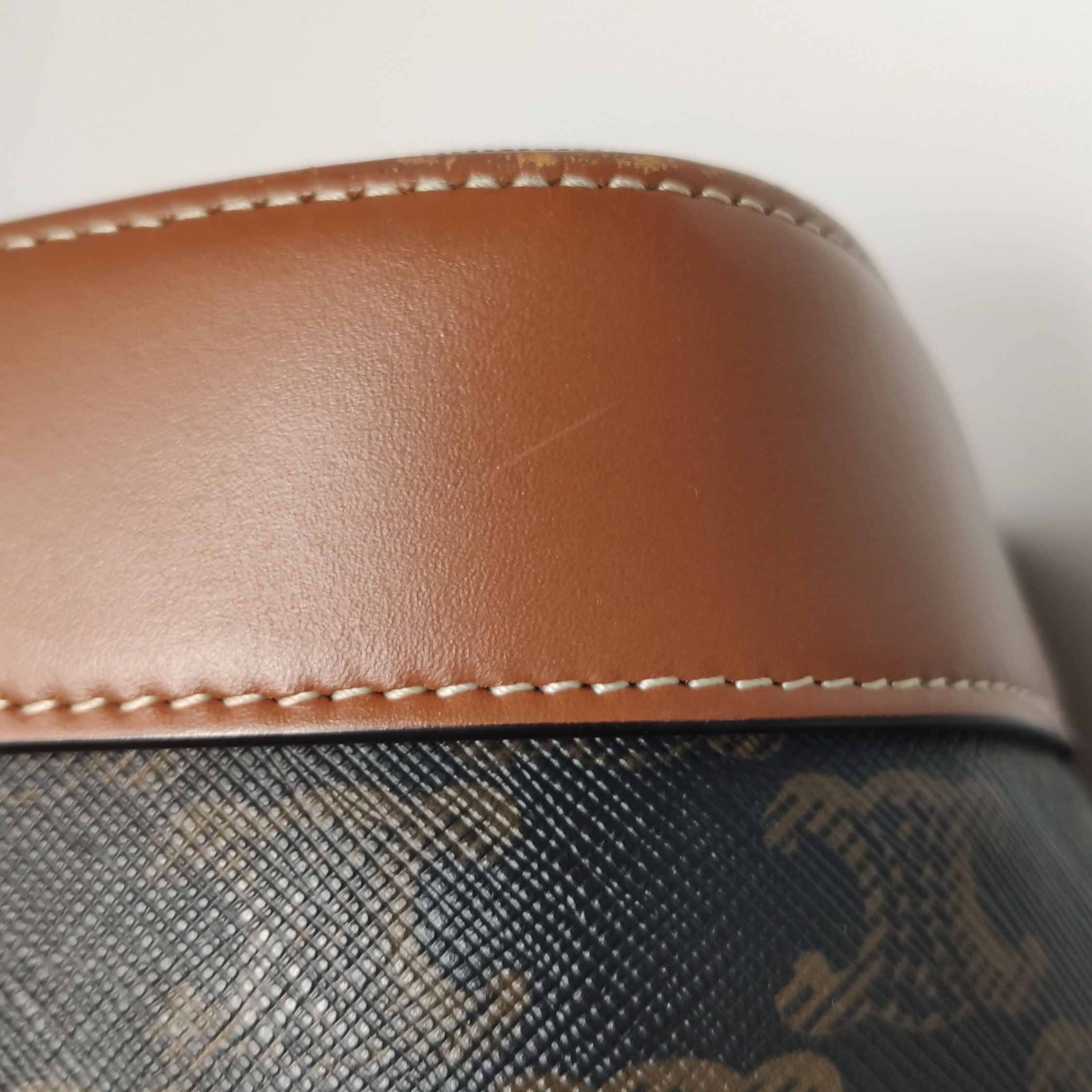 Celine Bucket Bag Triomphe Coated Canvas Small — photo 12 of 13