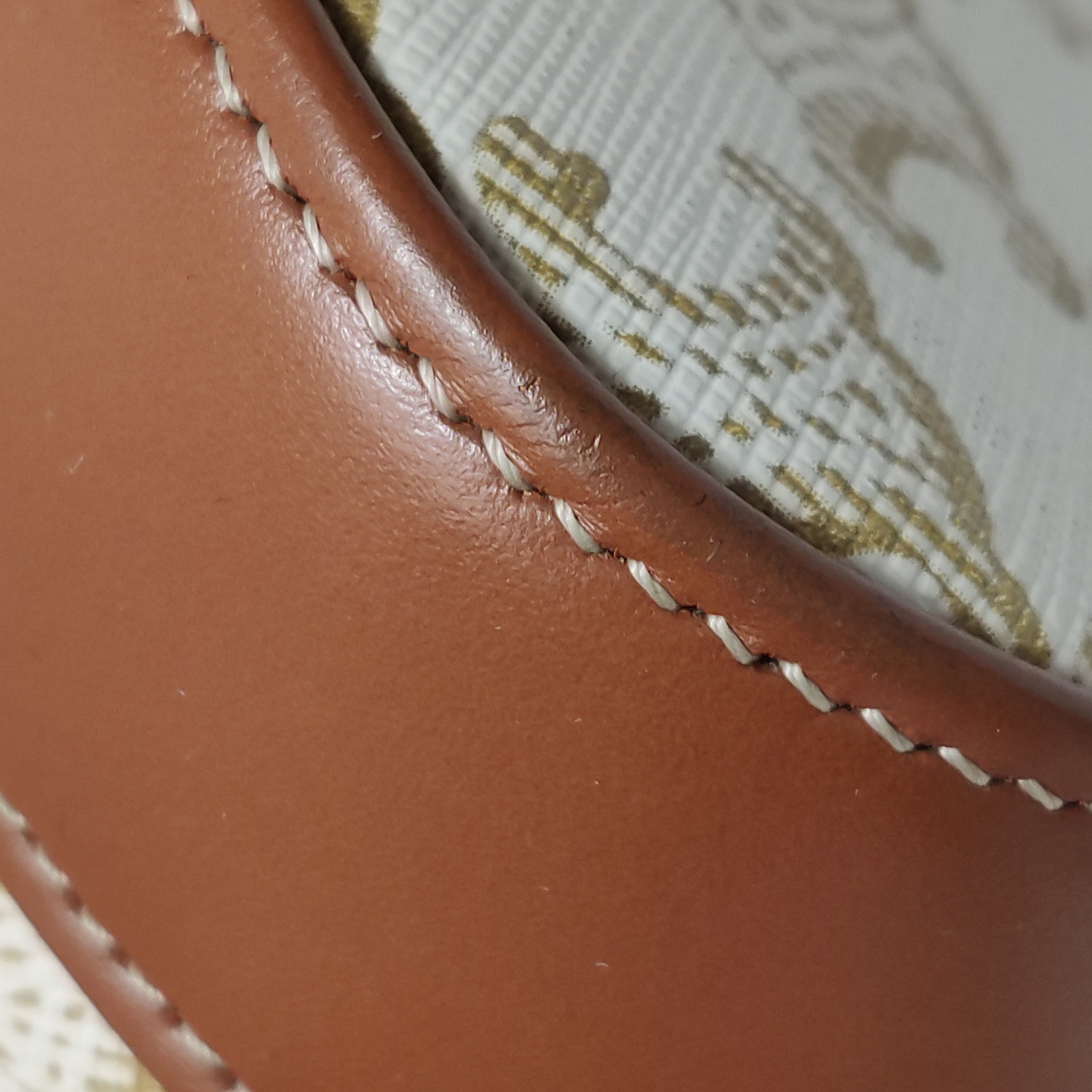 Celine Bucket Bag Triomphe Coated Canvas Small