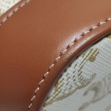Celine Bucket Bag Triomphe Coated Canvas Small — thumbnail 10