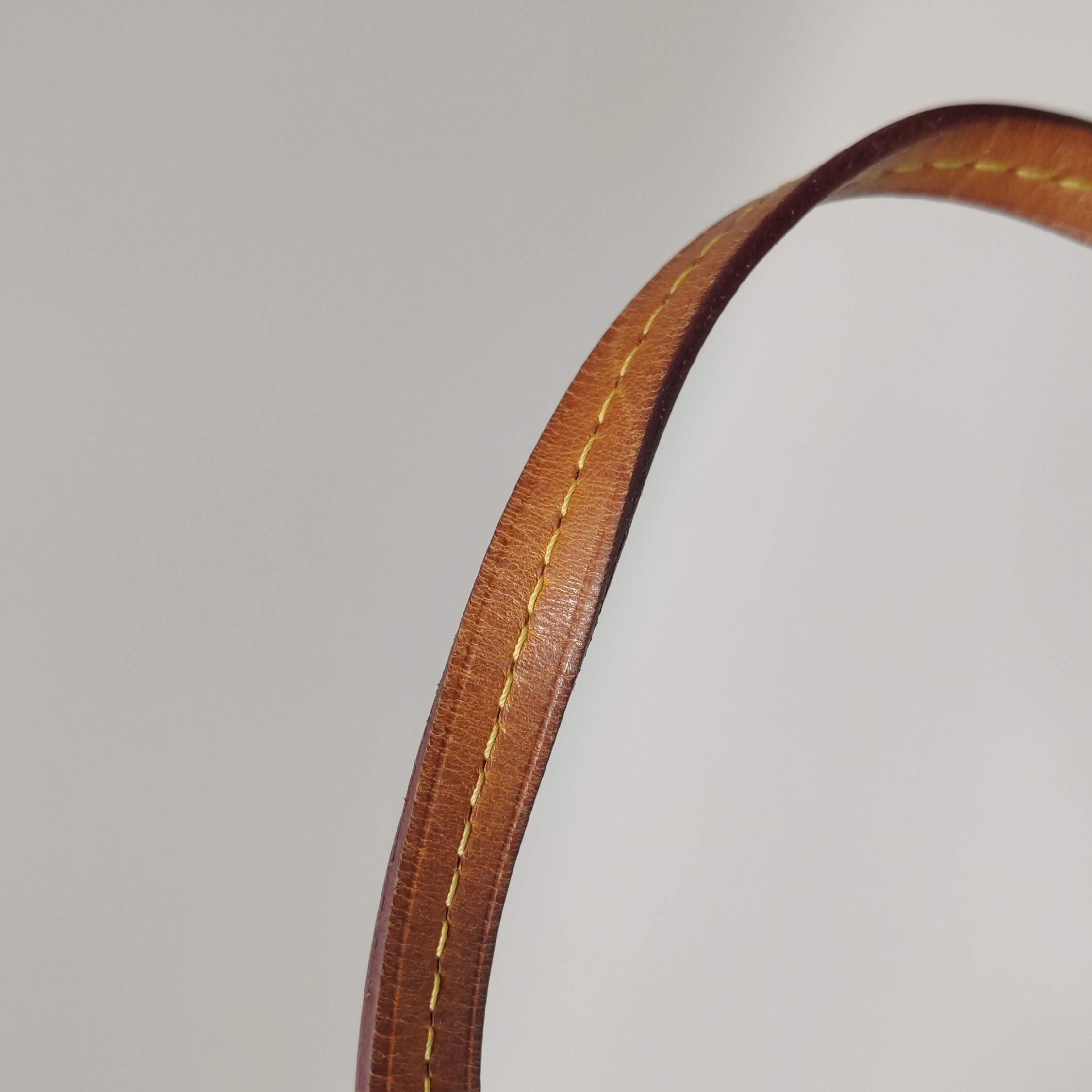 Louis Vuitton(LV) Favorite Handbag Monogram Canvas MM — photo 14 of 14