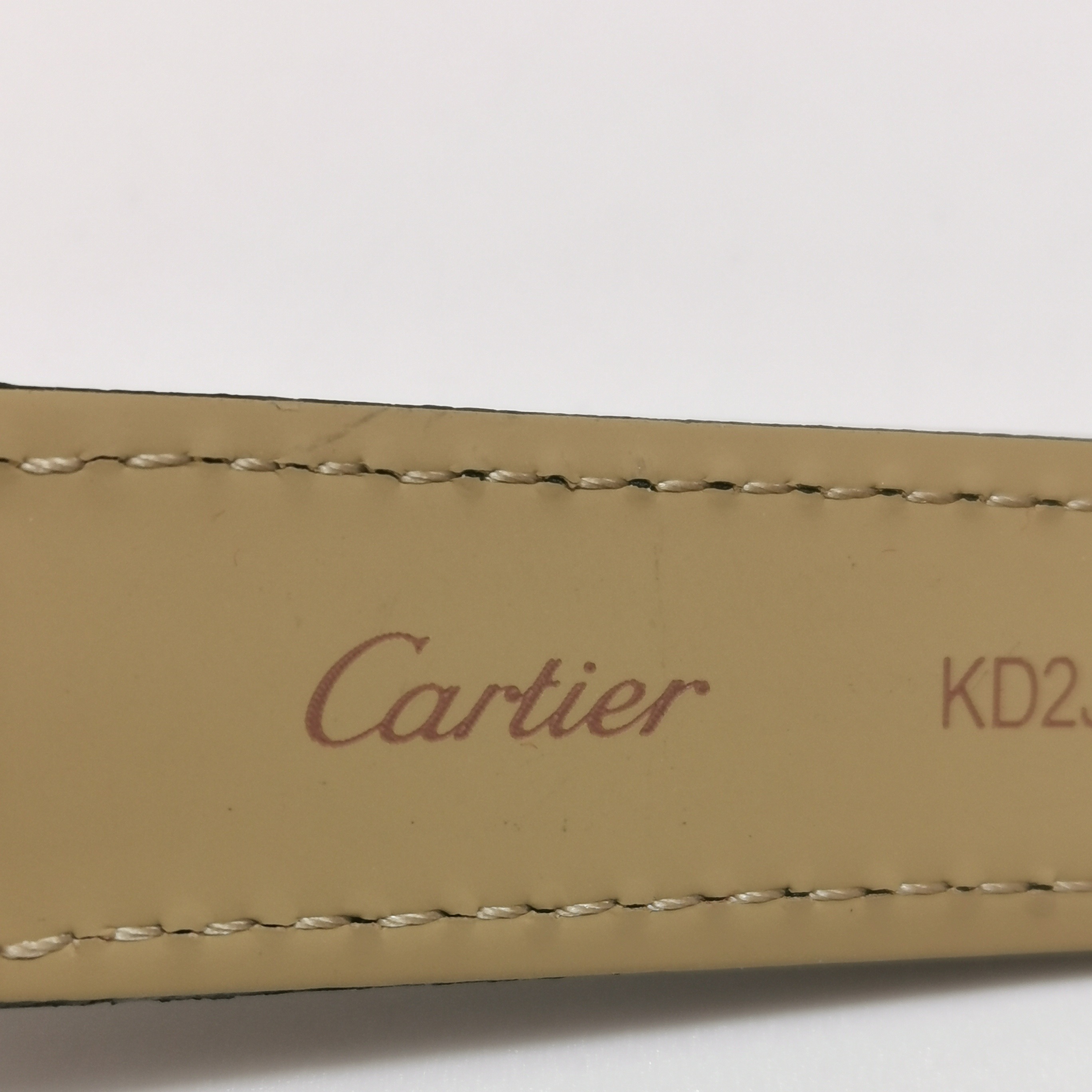Cartier Tank Solo Quartz Watch Stainless Steel and Alligator 24 — photo 8 of 8
