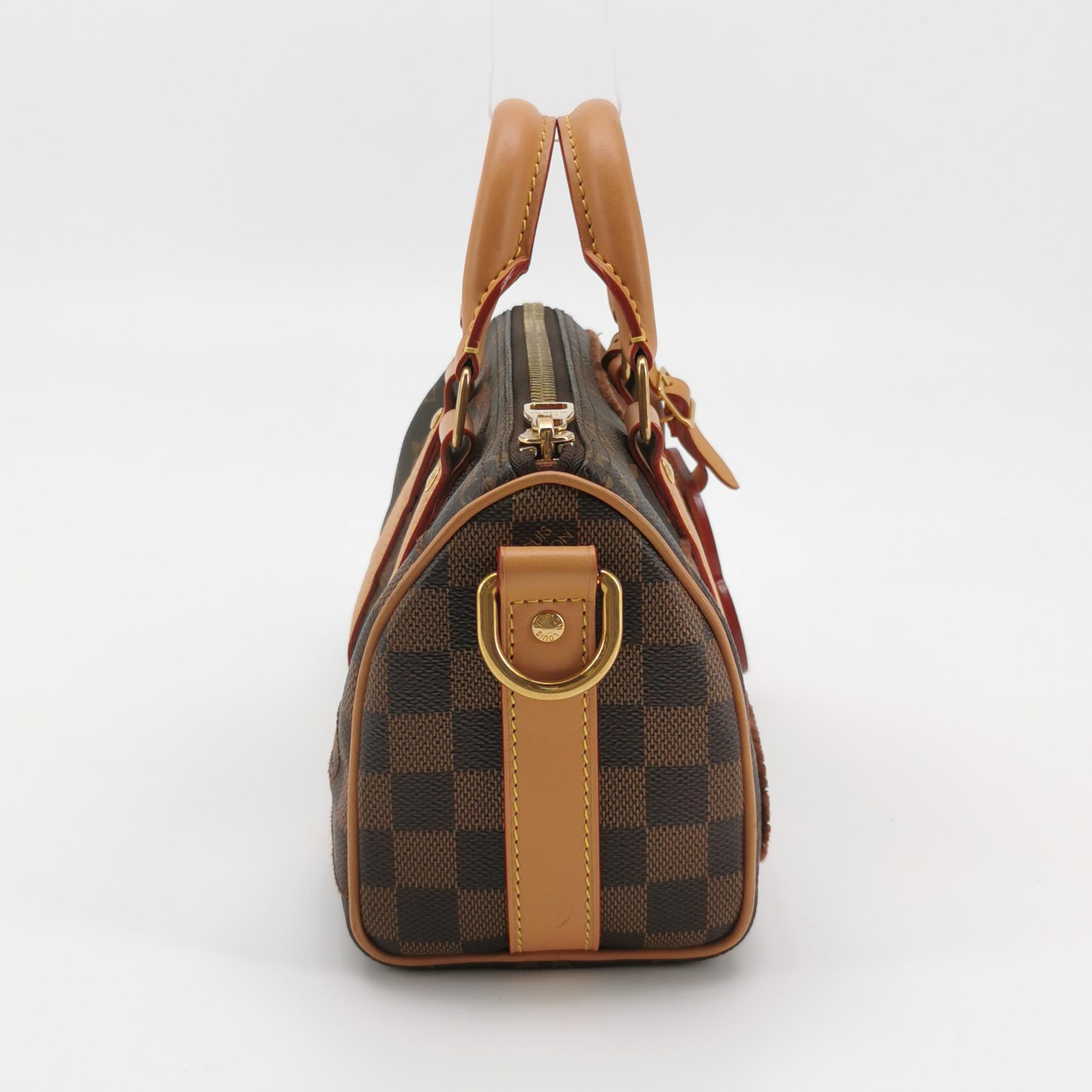 Louis Vuitton(LV) Keepall Bandouliere Bag Limited Edition Monogram Landscape Canvas 25 — photo 3 of 23