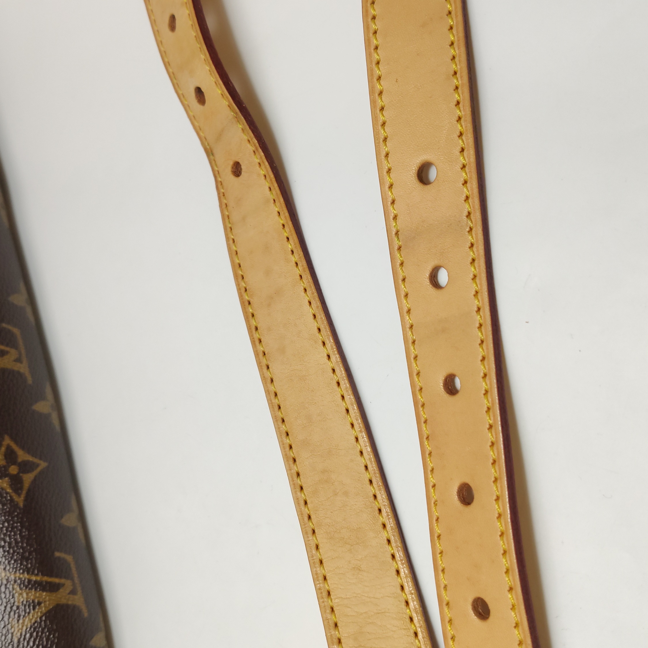 Louis Vuitton(LV) Hudson Handbag Monogram Canvas GM — photo 22 of 23