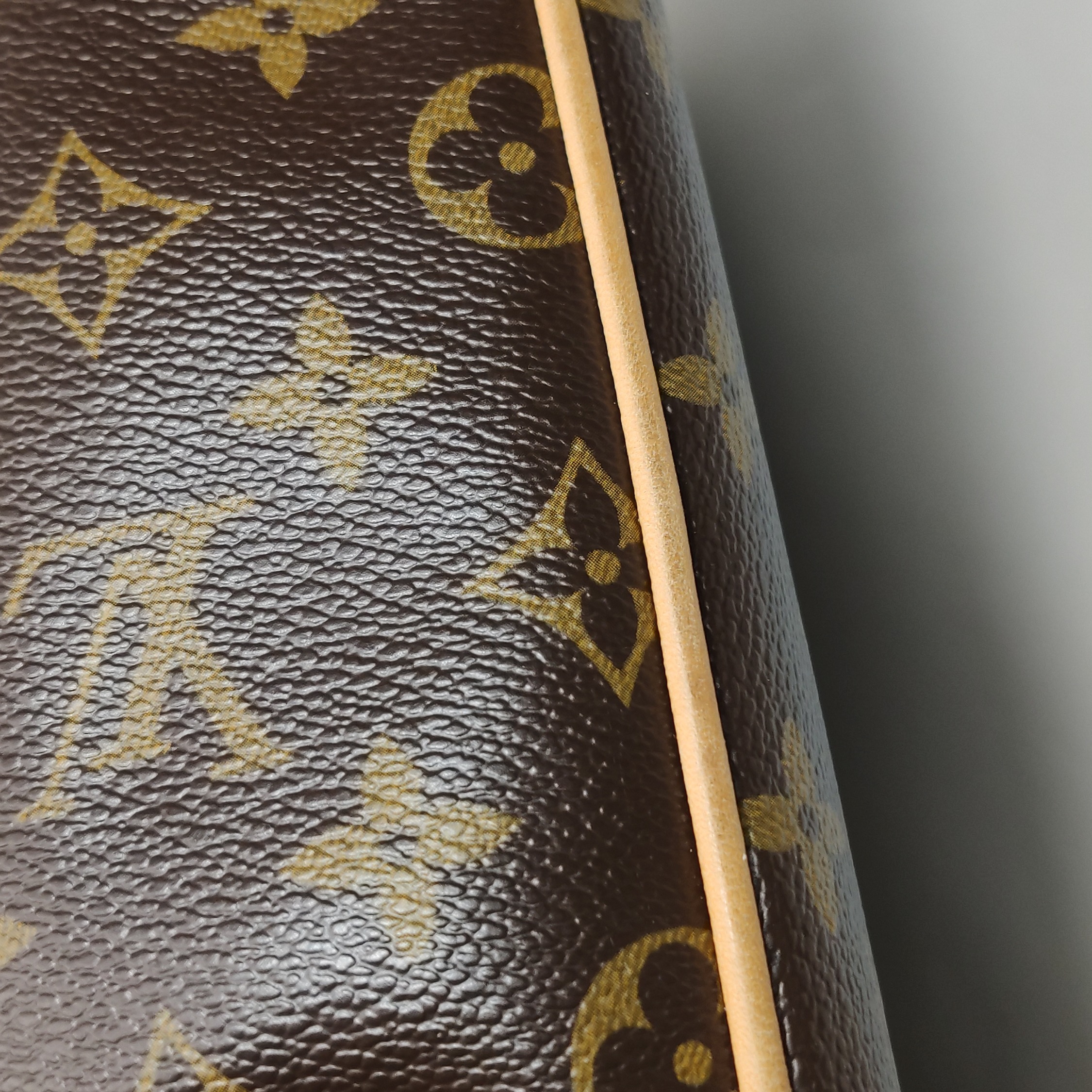 Louis Vuitton(LV) Hudson Handbag Monogram Canvas GM — photo 18 of 23
