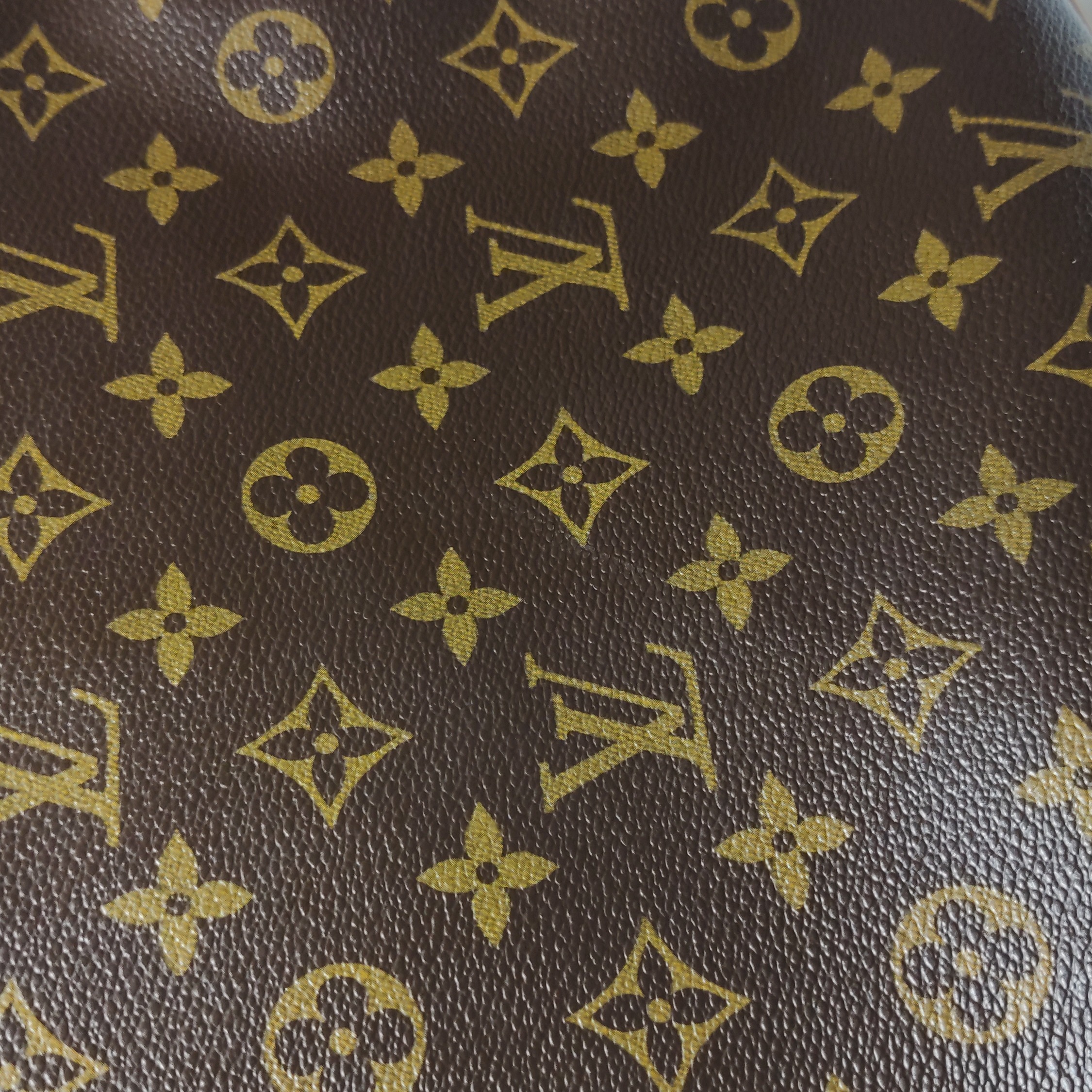 Louis Vuitton(LV) Hudson Handbag Monogram Canvas GM — photo 19 of 23