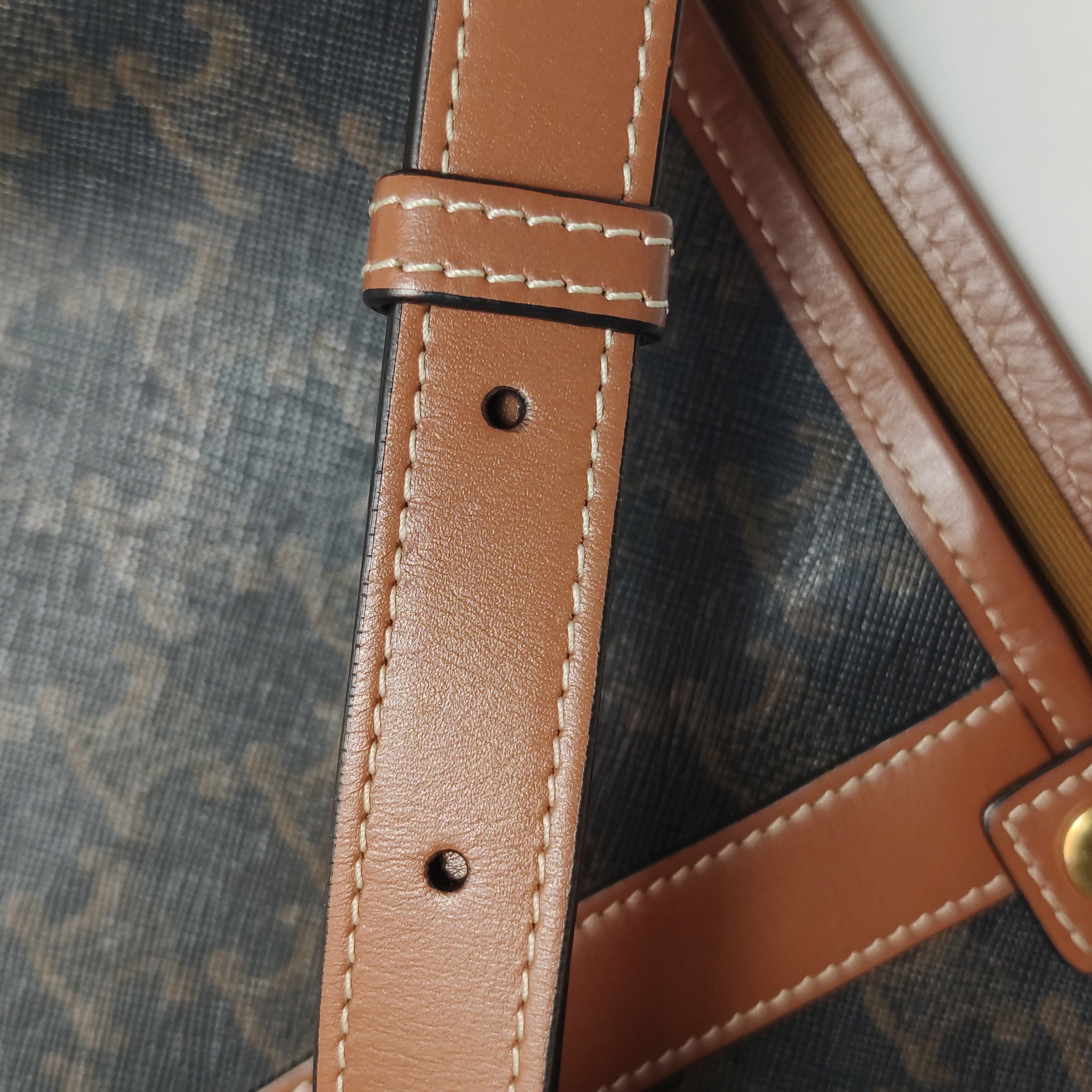 Celine Bucket Bag Triomphe Coated Canvas Medium — photo 10 of 12