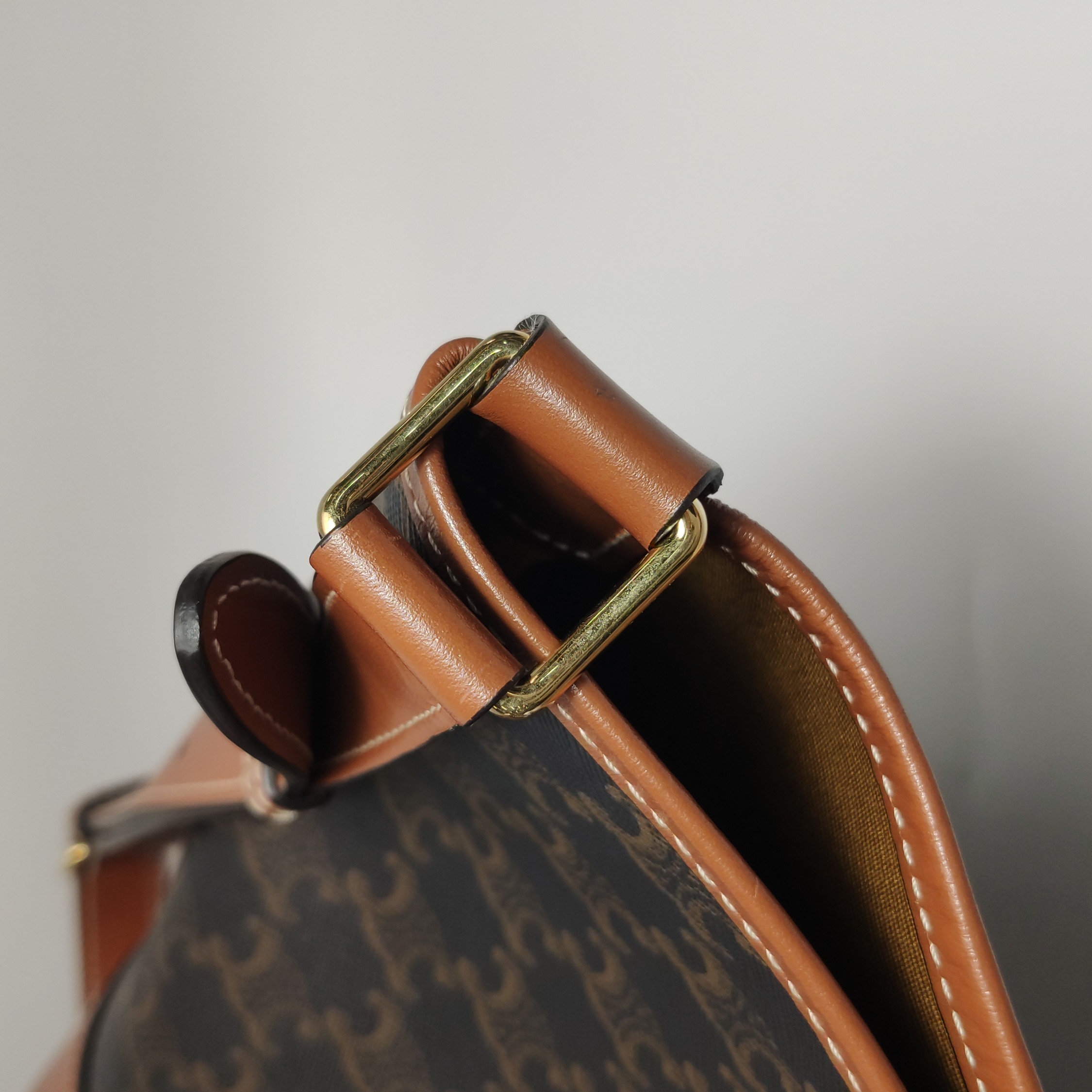 Celine Bucket Bag Triomphe Coated Canvas Medium — photo 11 of 12