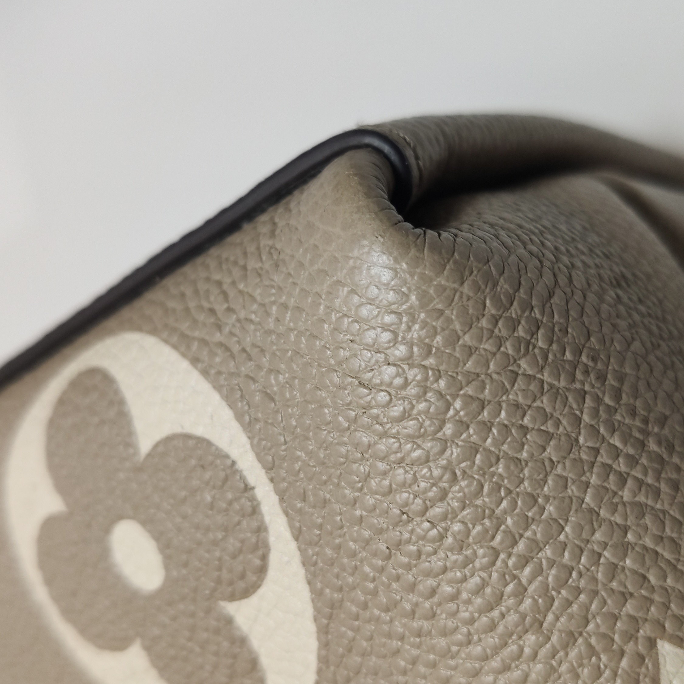 Louis Vuitton(LV) Madeleine Handbag Bicolor Monogram Empreinte Giant MM — photo 20 of 23