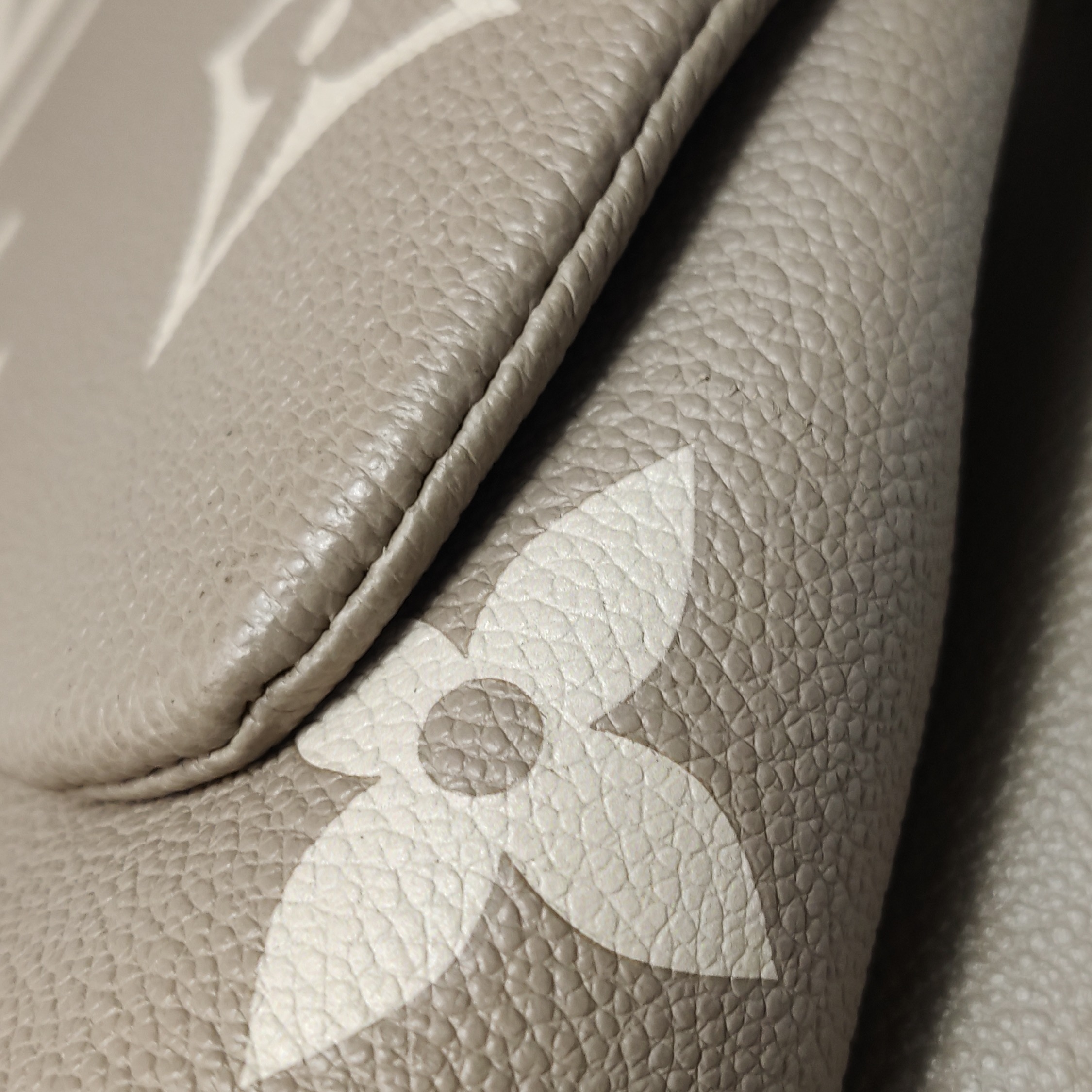 Louis Vuitton(LV) Madeleine Handbag Bicolor Monogram Empreinte Giant MM — photo 13 of 23