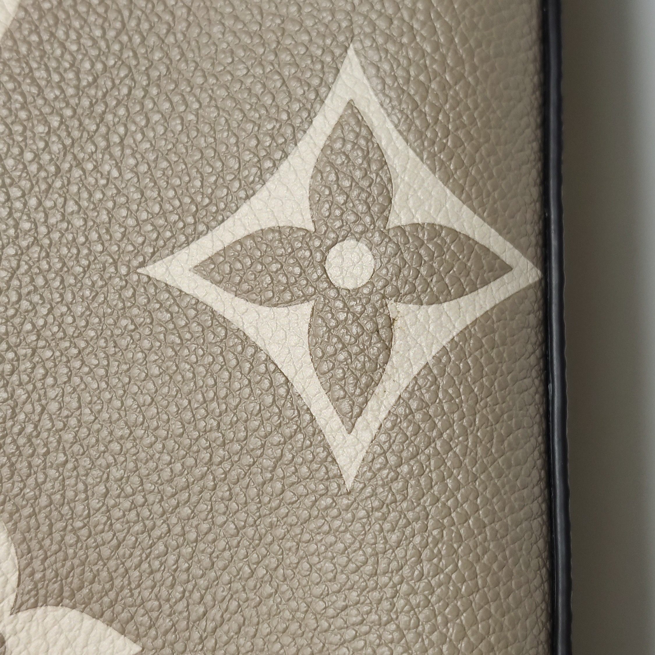Louis Vuitton(LV) Madeleine Handbag Bicolor Monogram Empreinte Giant MM — photo 18 of 23