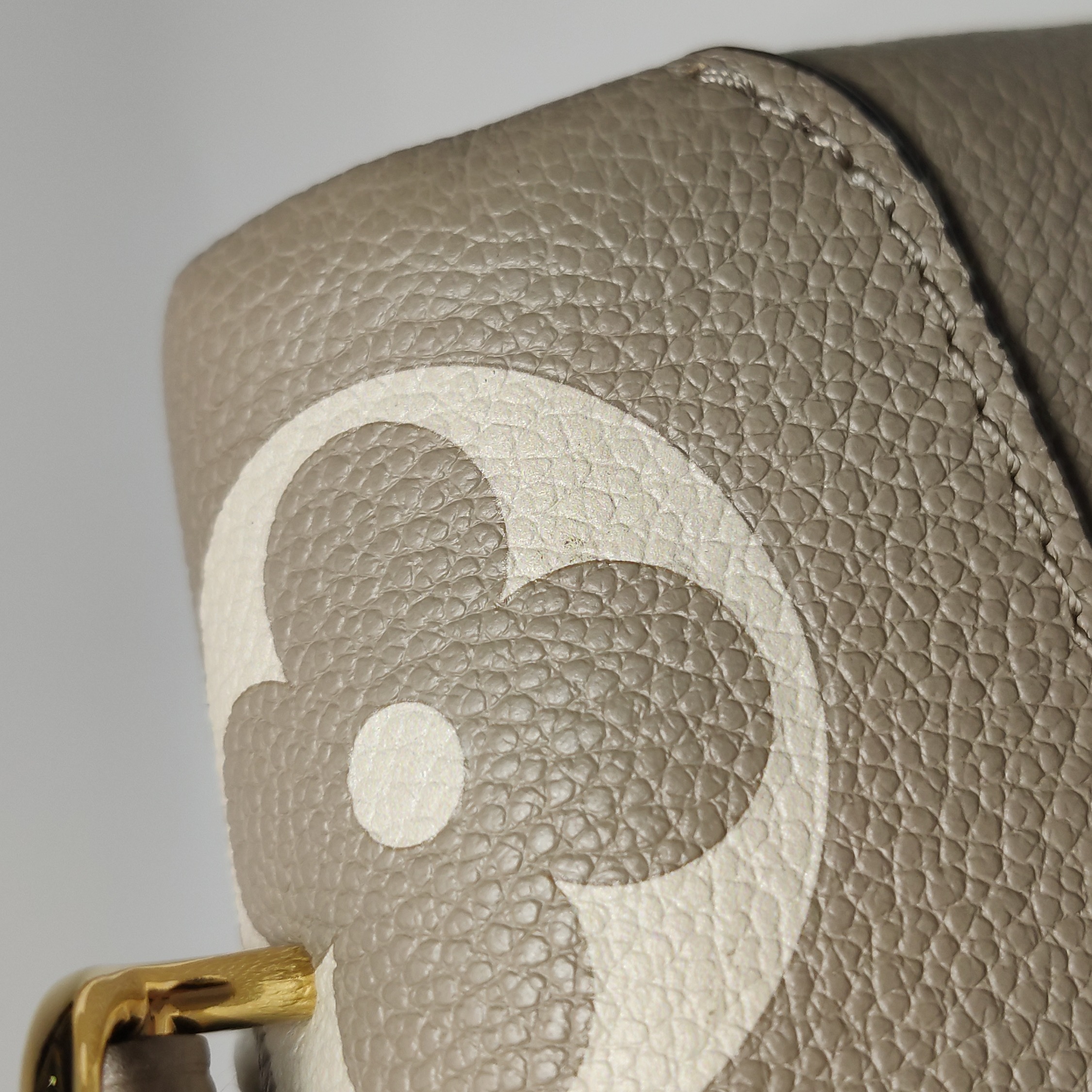 Louis Vuitton(LV) Madeleine Handbag Bicolor Monogram Empreinte Giant MM — photo 17 of 23