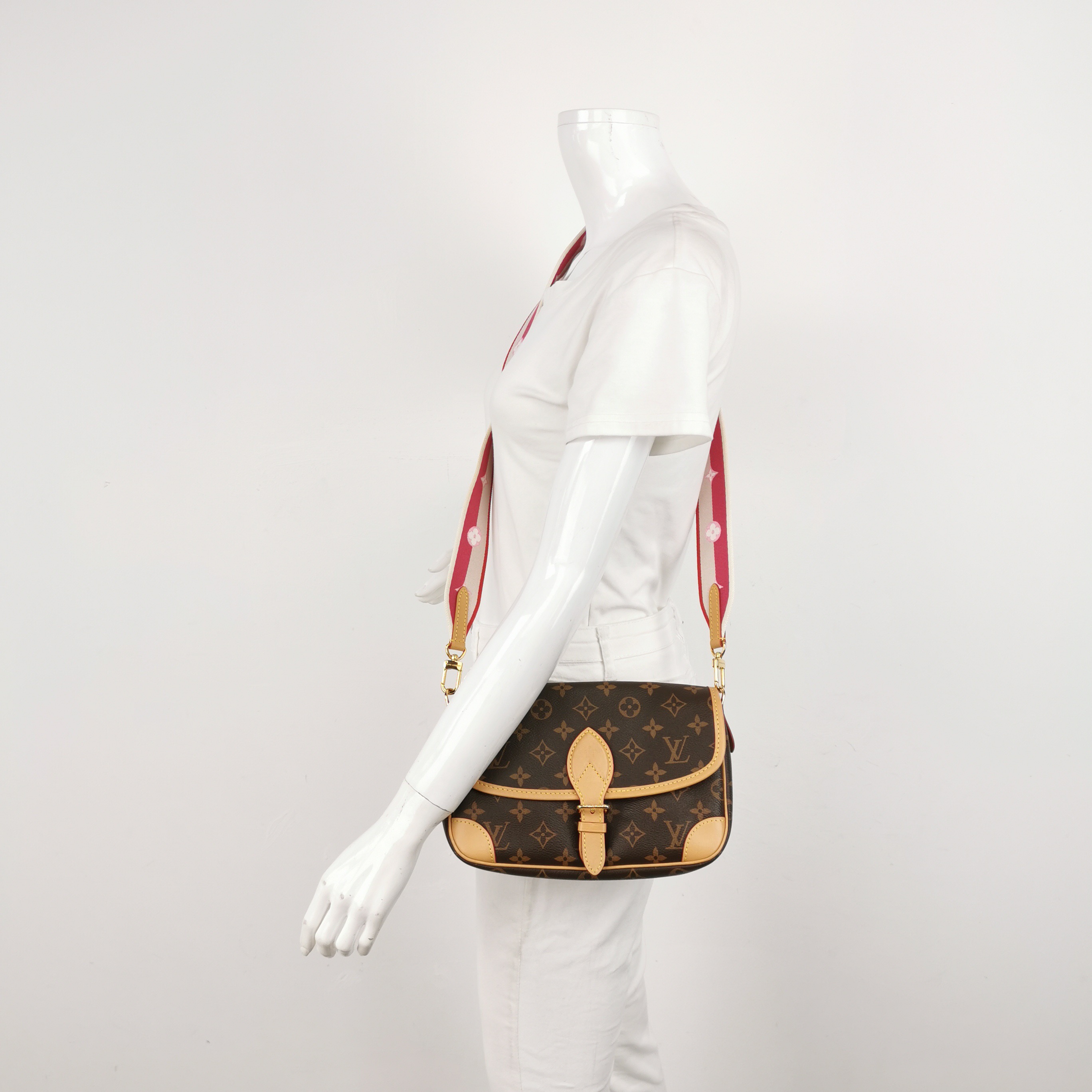 Louis Vuitton(LV) Diane NM Handbag Monogram Canvas — alternate view