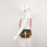 Louis Vuitton(LV) Diane NM Handbag Monogram Canvas — thumbnail 2