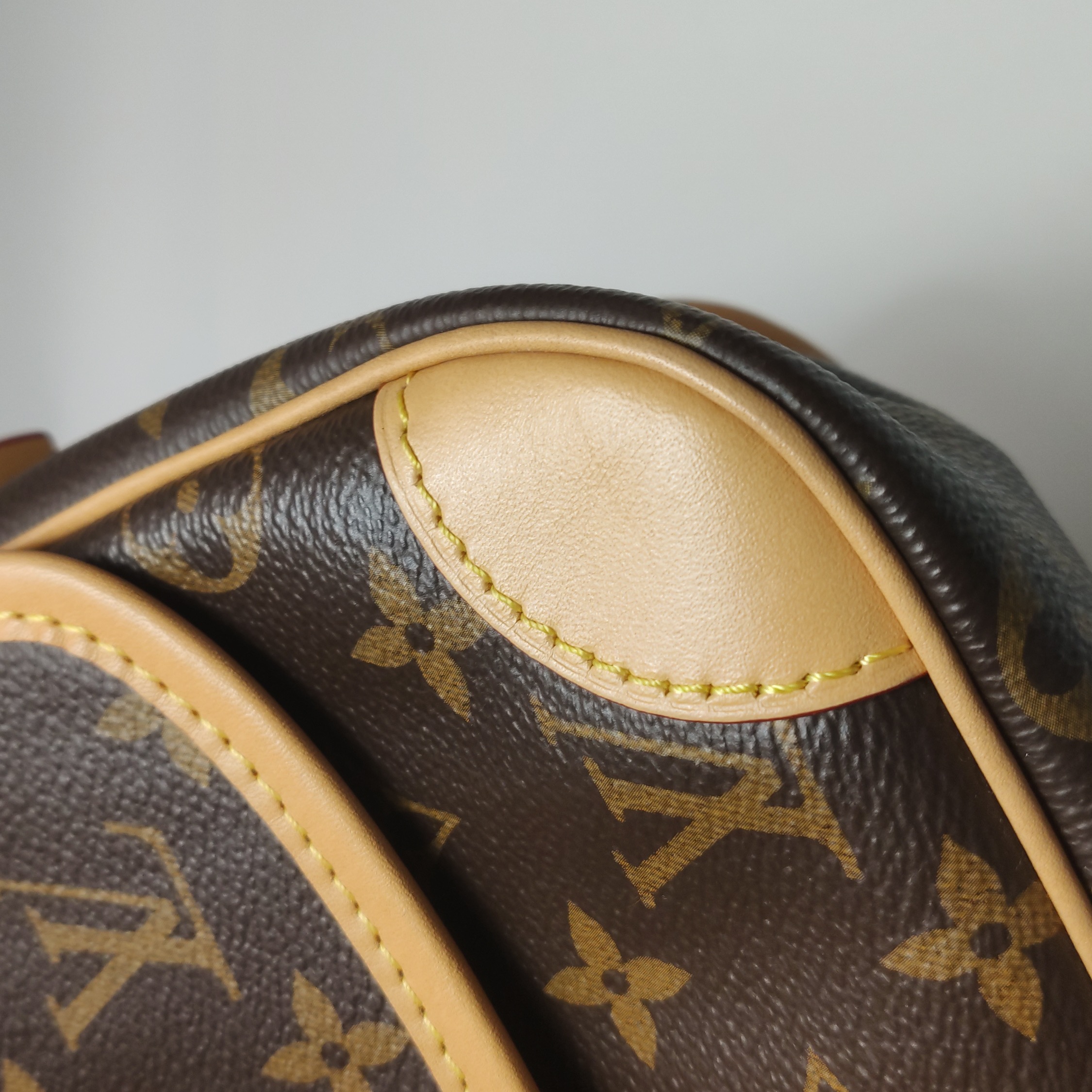 Louis Vuitton(LV) Diane NM Handbag Monogram Canvas — photo 9 of 12