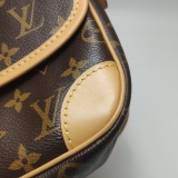 Louis Vuitton(LV) Diane NM Handbag Monogram Canvas — thumbnail 9