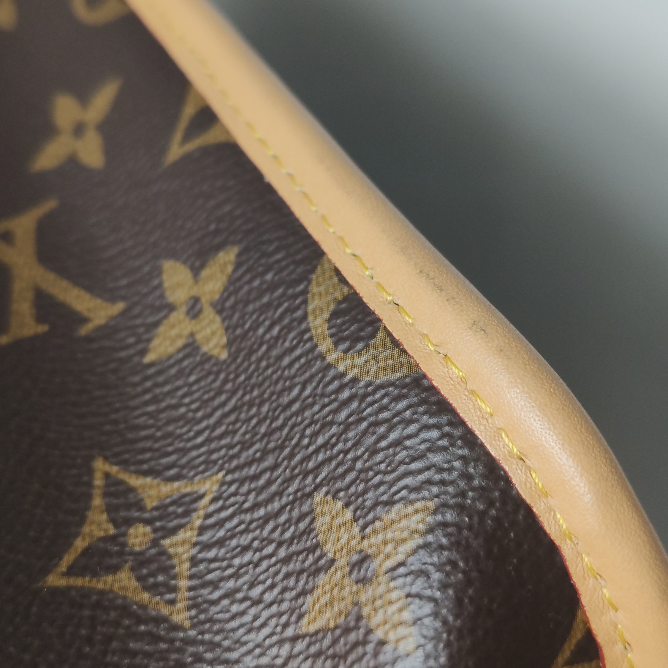 Louis Vuitton(LV) Diane NM Handbag Monogram Canvas — photo 8 of 12