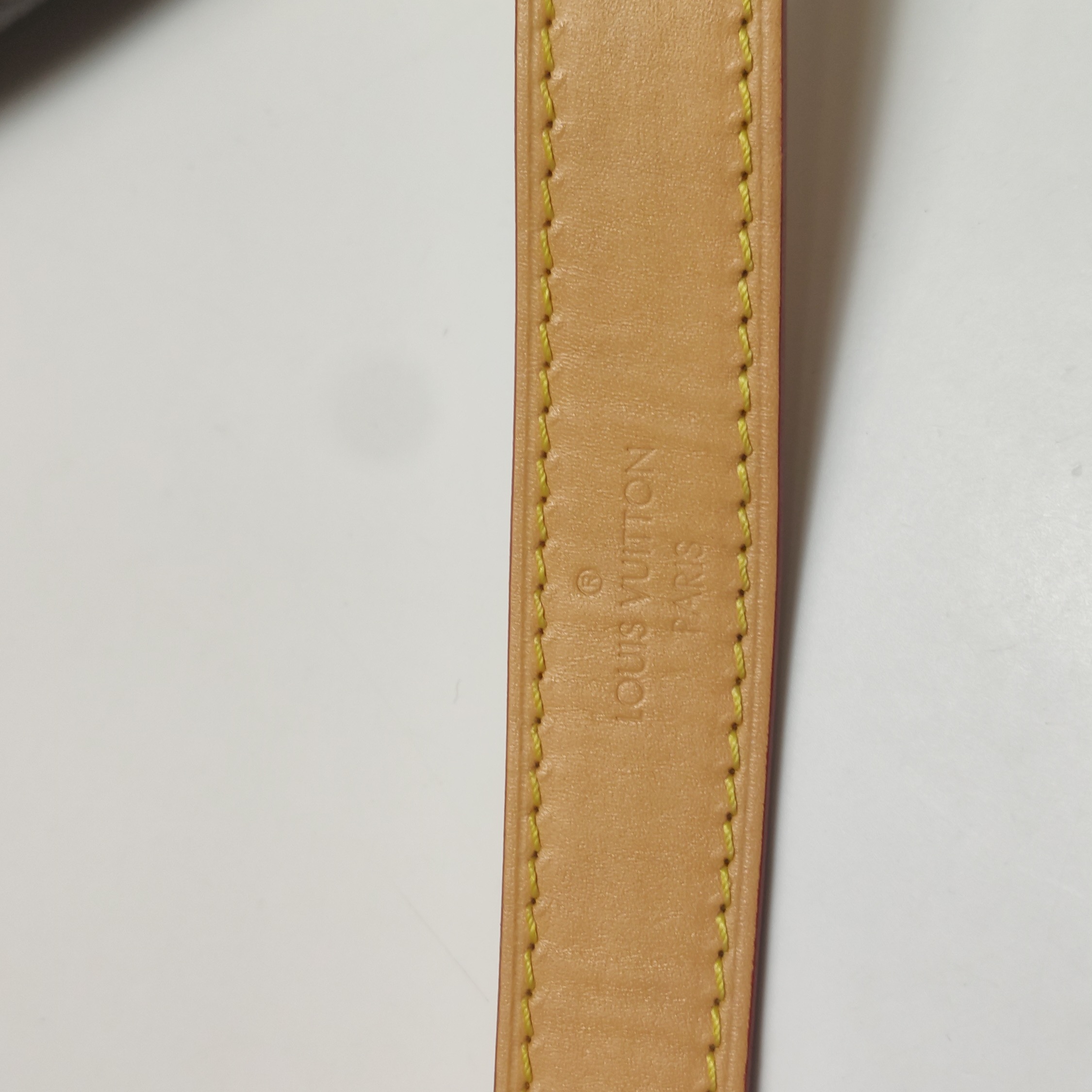 Louis Vuitton(LV) Diane NM Handbag Monogram Canvas — photo 11 of 12