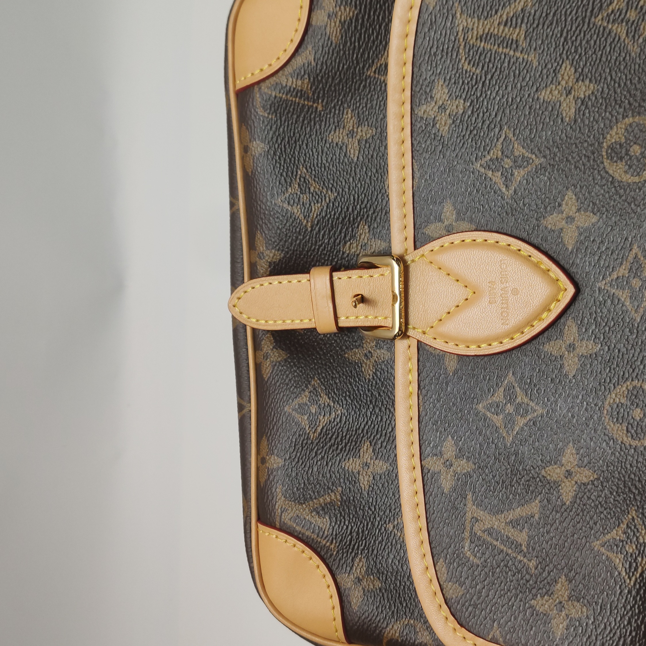 Louis Vuitton(LV) Diane NM Handbag Monogram Canvas — photo 7 of 12