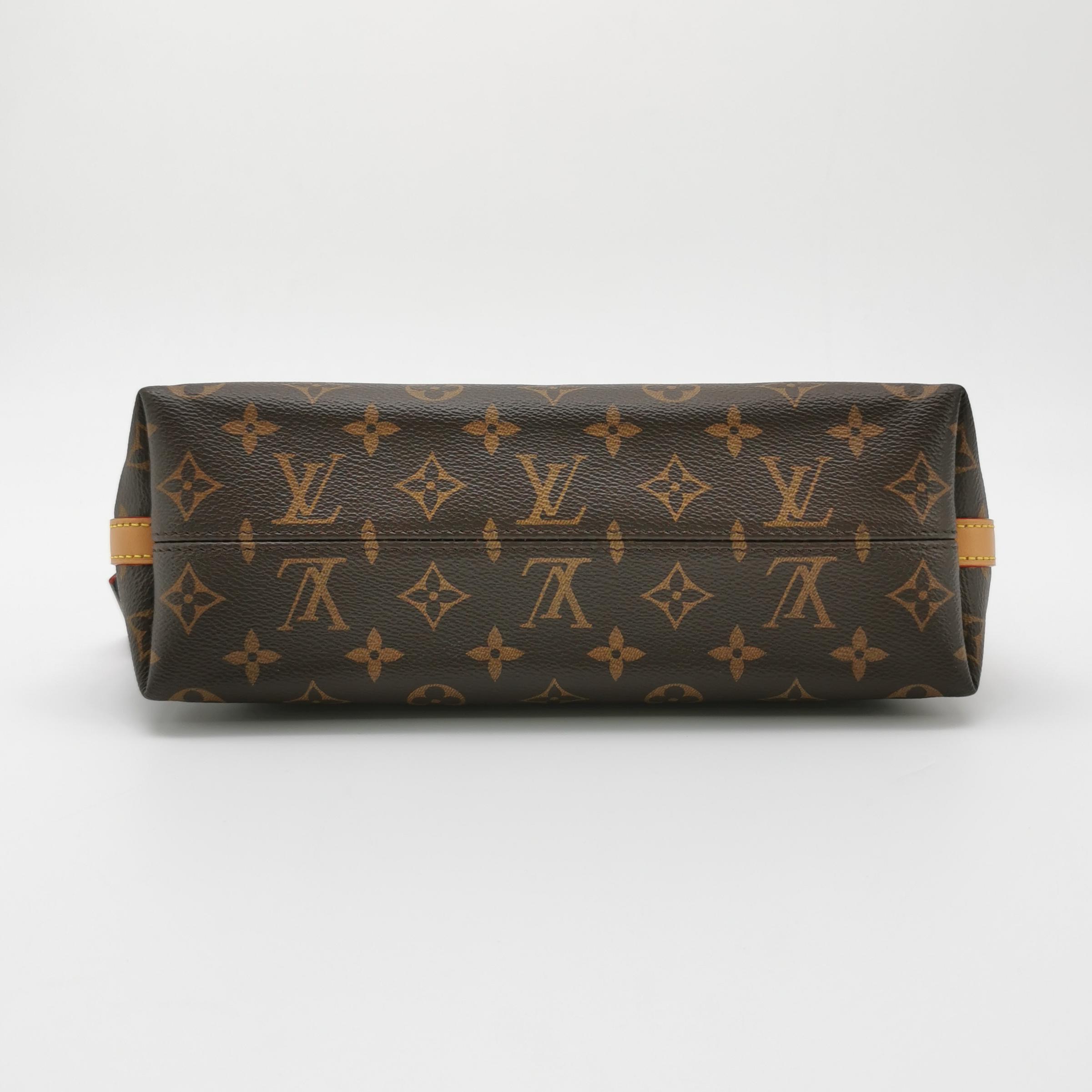 Louis Vuitton(LV) CarryAll Hobo Monogram Canvas BB