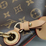 Louis Vuitton(LV) CarryAll Hobo Monogram Canvas BB — thumbnail 11