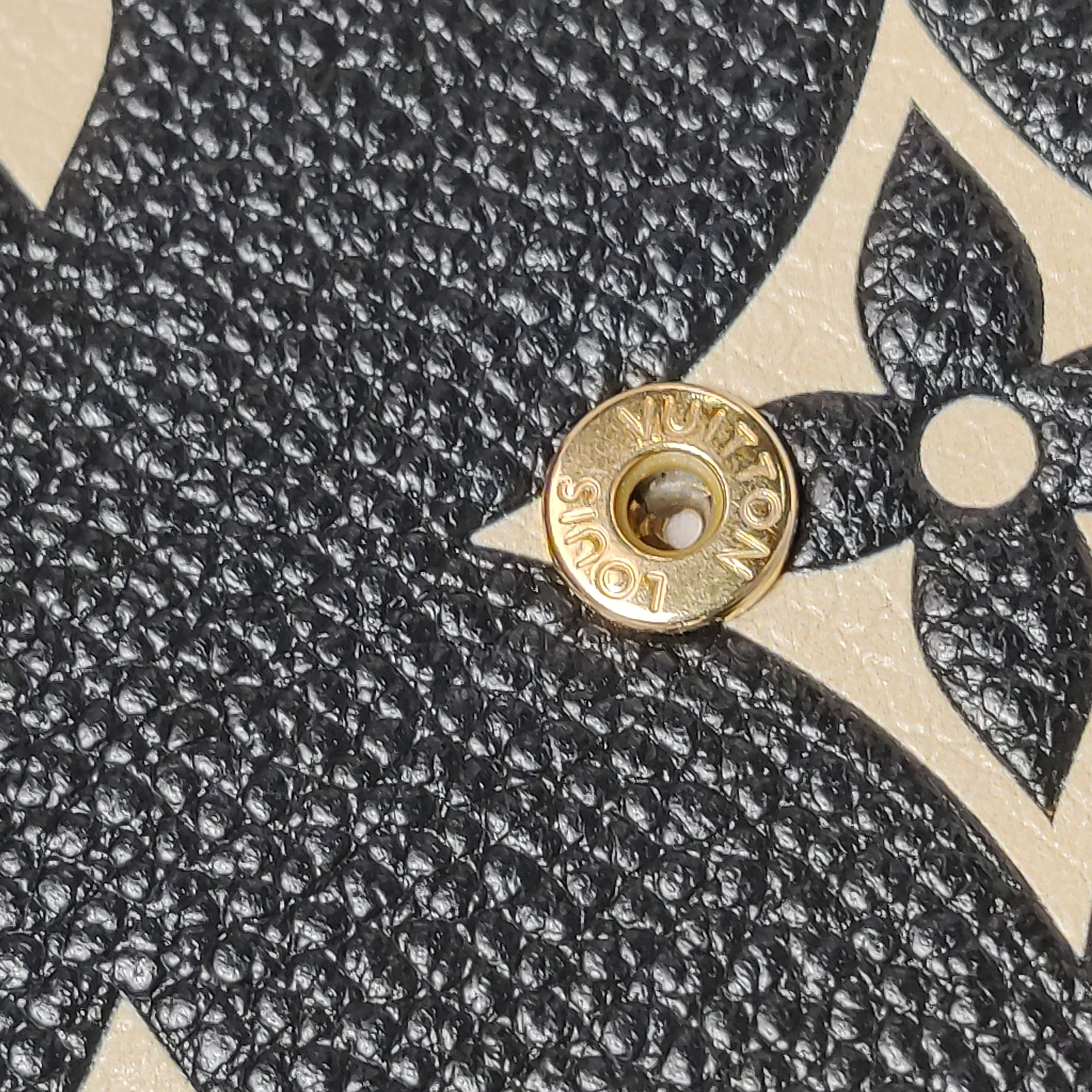 Louis Vuitton(LV) Felicie Pochette Bicolor Monogram Empreinte Giant — photo 11 of 12
