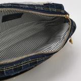Louis Vuitton(LV) Nil Camer Bag  Denim — thumbnail 5