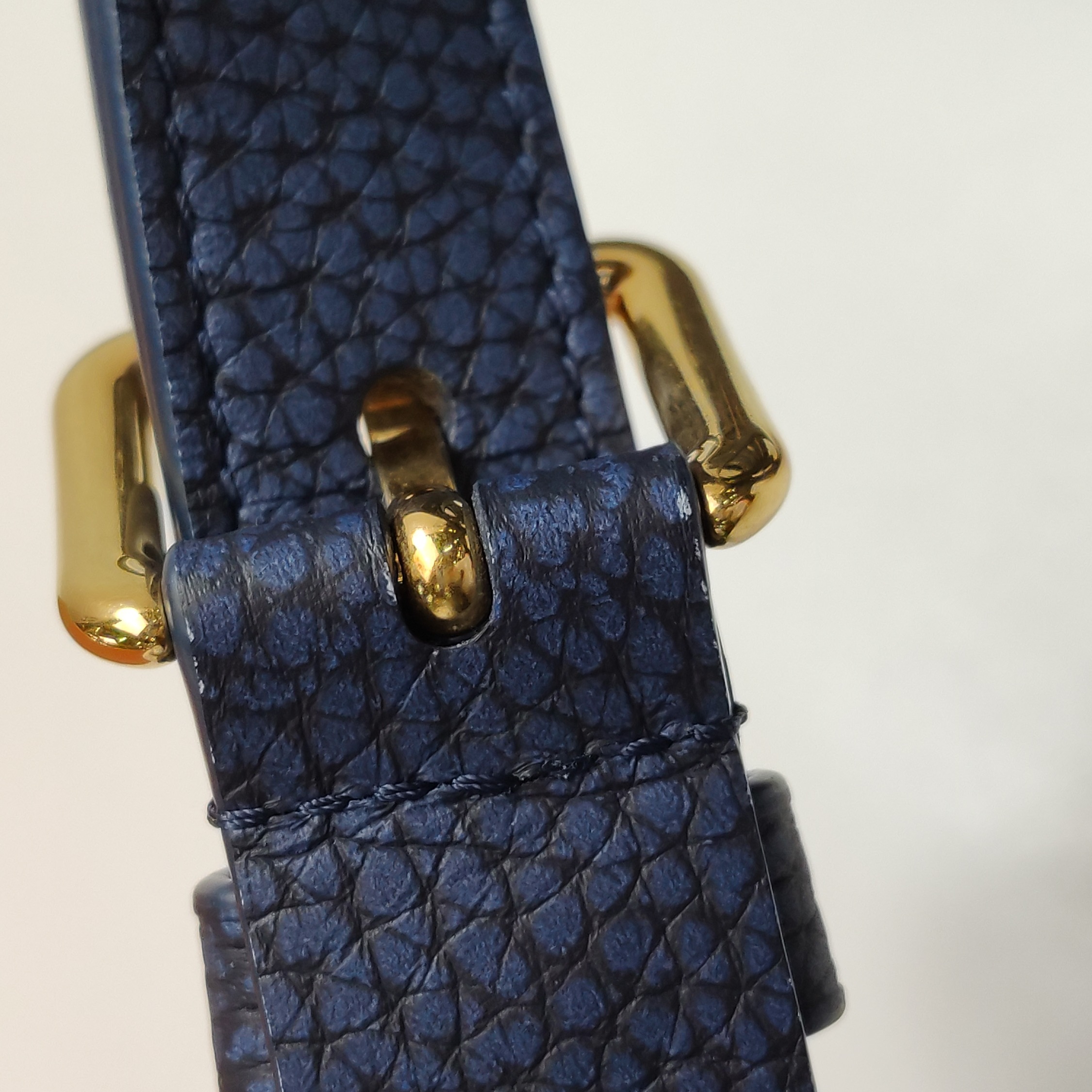 Louis Vuitton(LV) Nil Camer Bag  Denim — photo 13 of 13